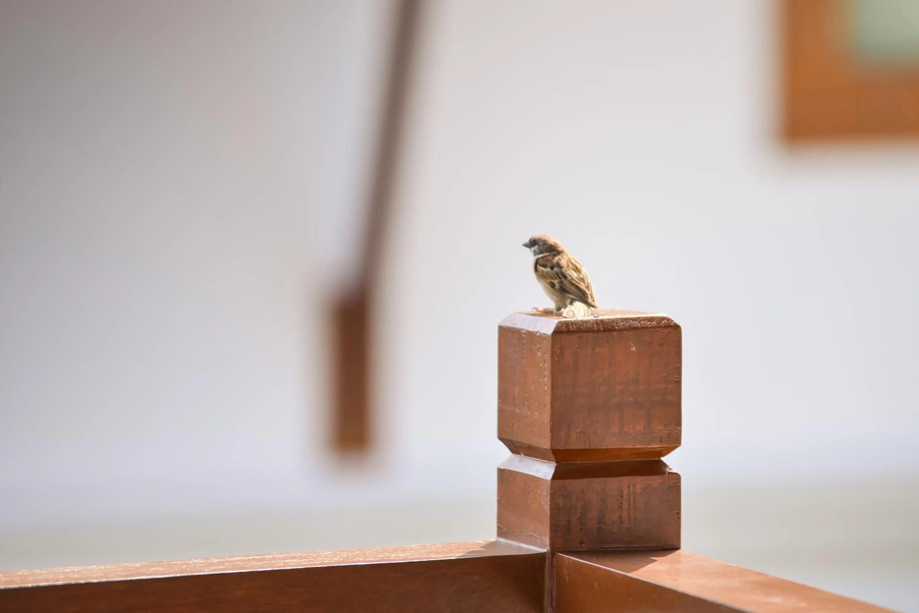 Decorative detail in Thaihome Resort