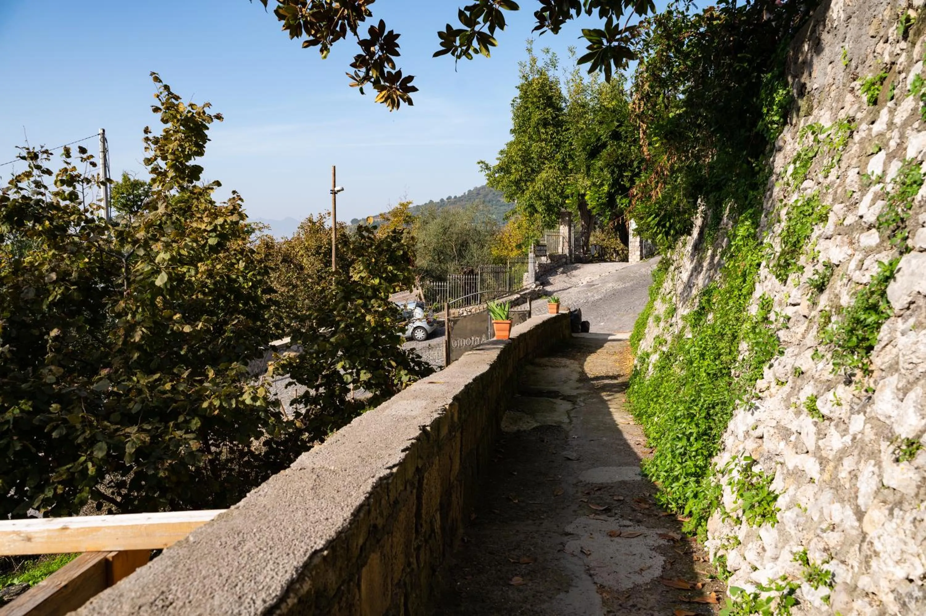 Agriturismo Casa Scola