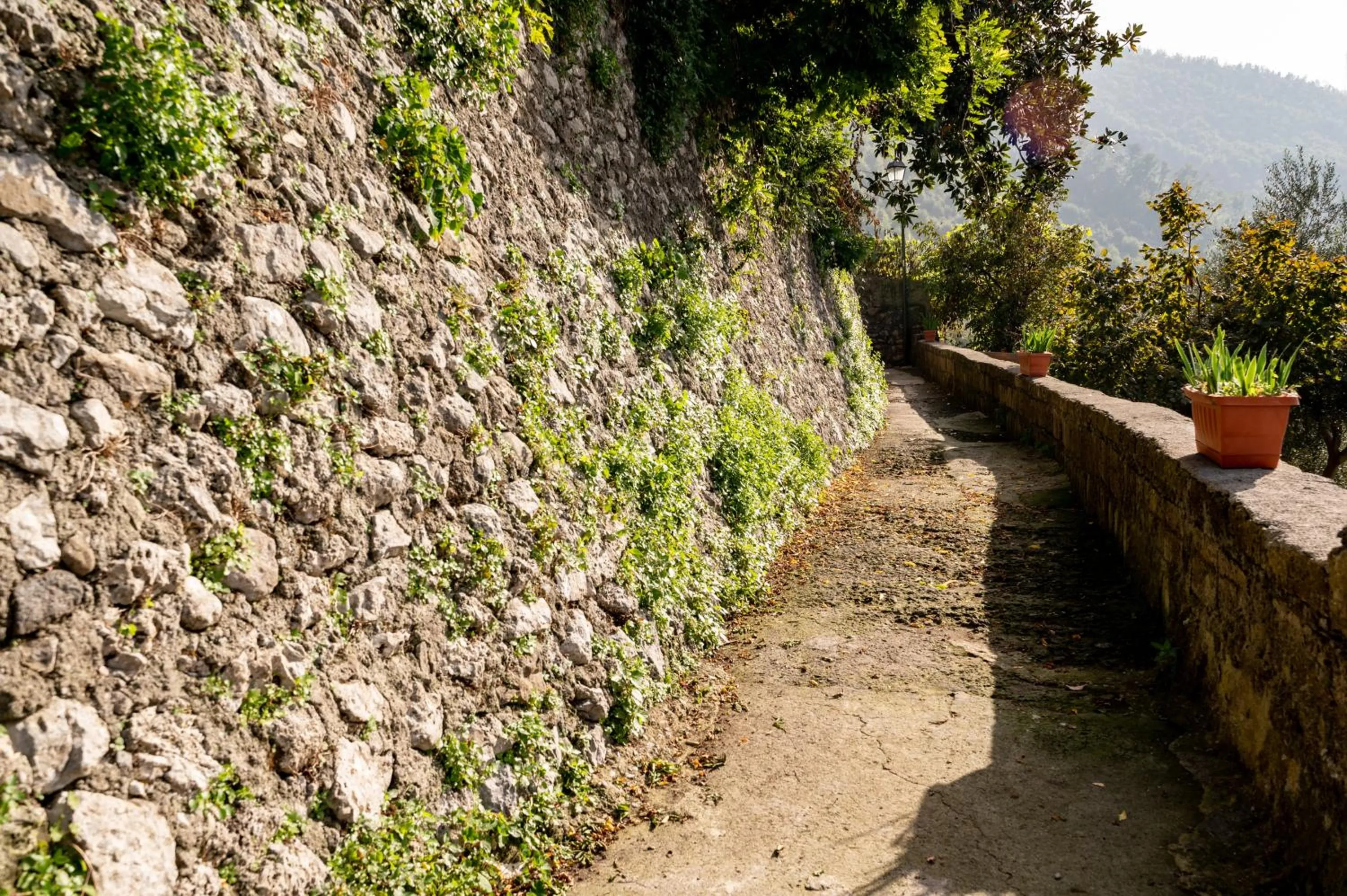 acessibility in Agriturismo Casa Scola