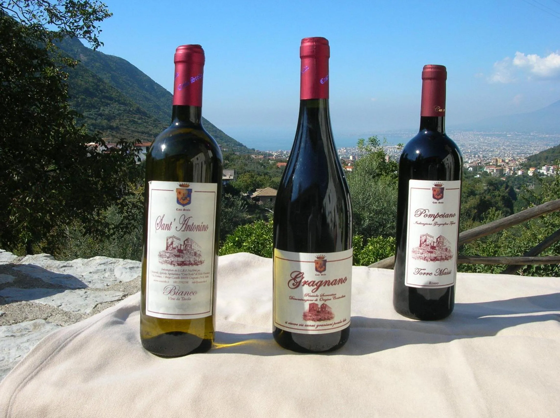 Day in Agriturismo Casa Scola