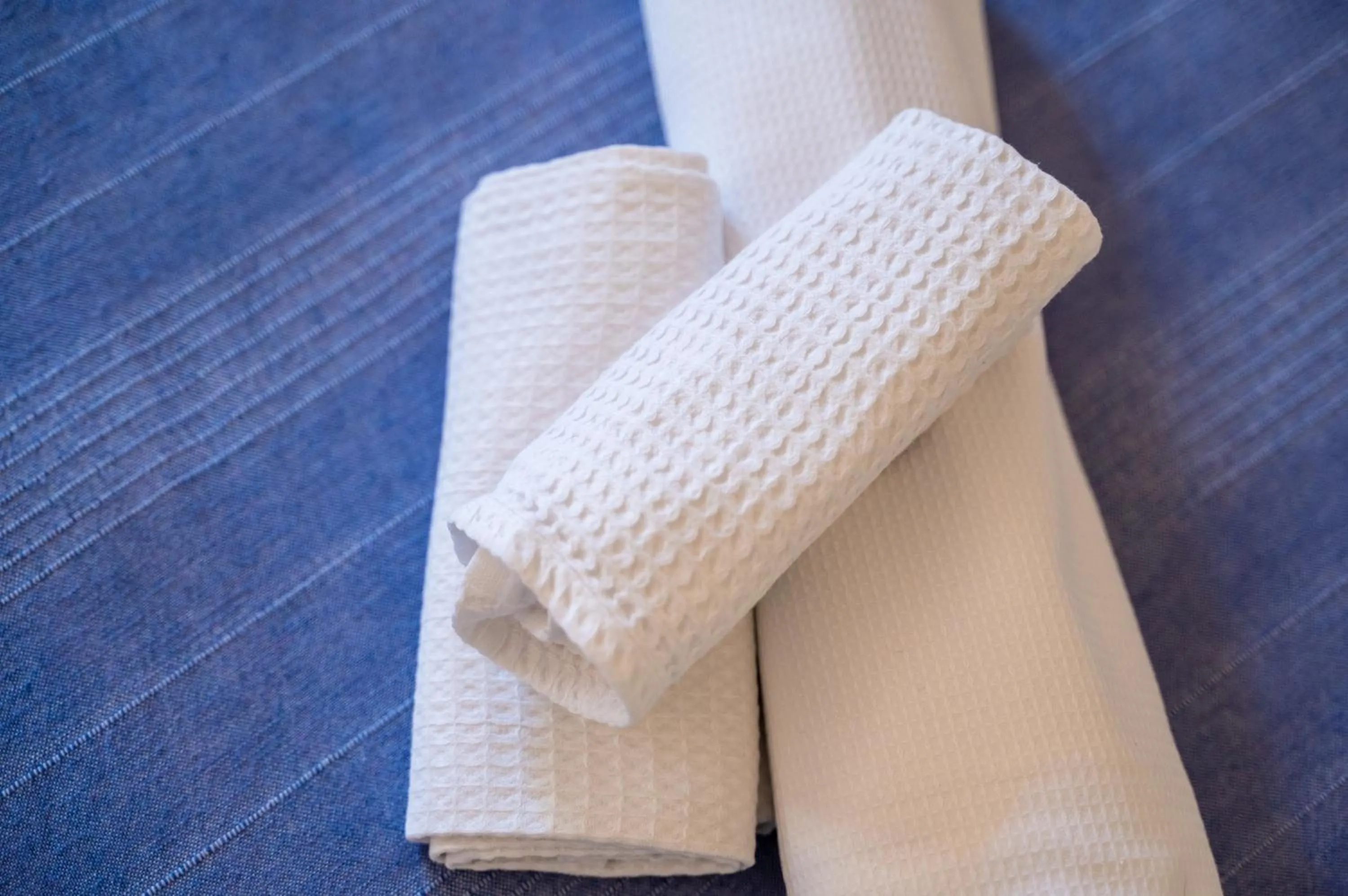 Agriturismo Casa Scola