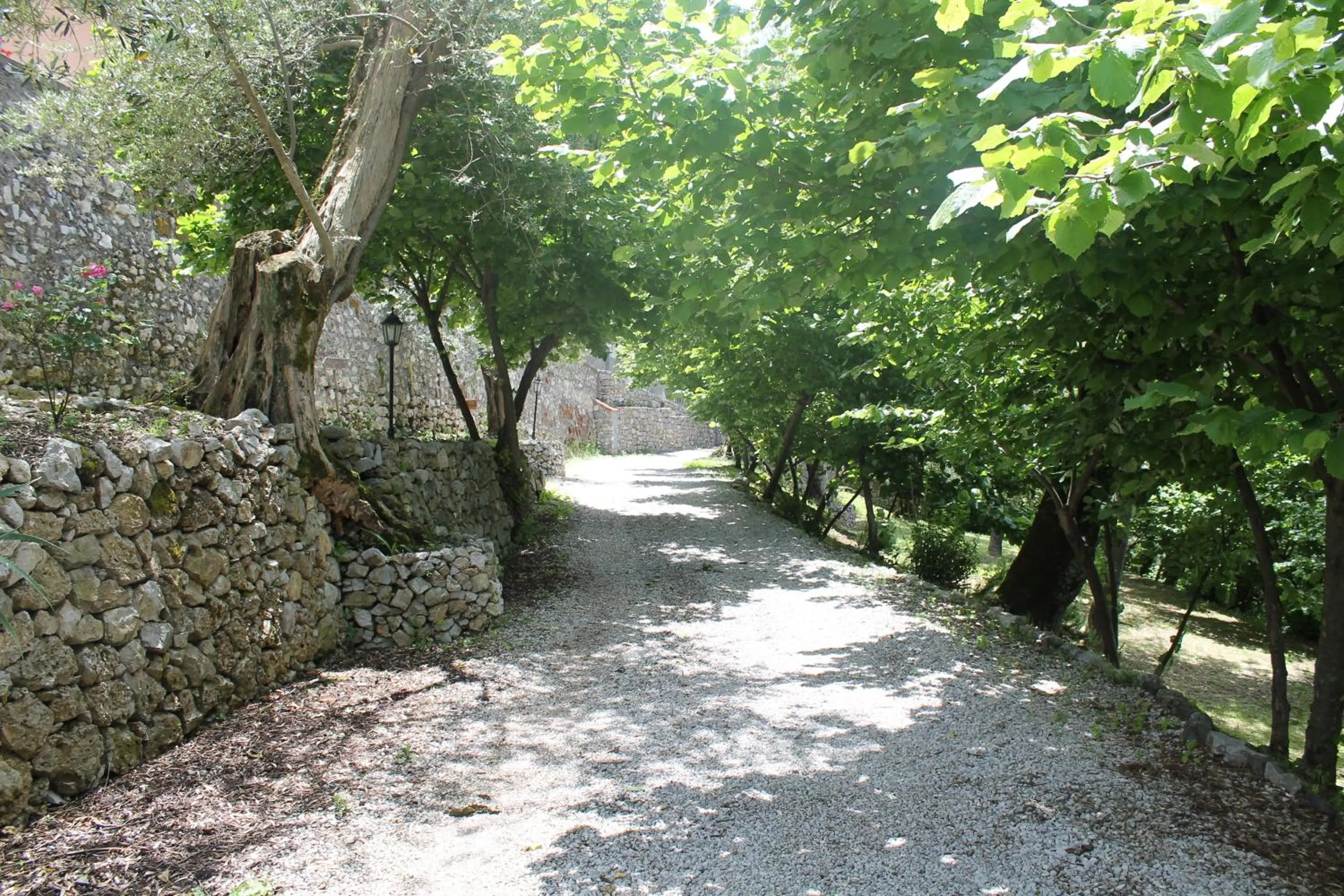 Day in Agriturismo Casa Scola