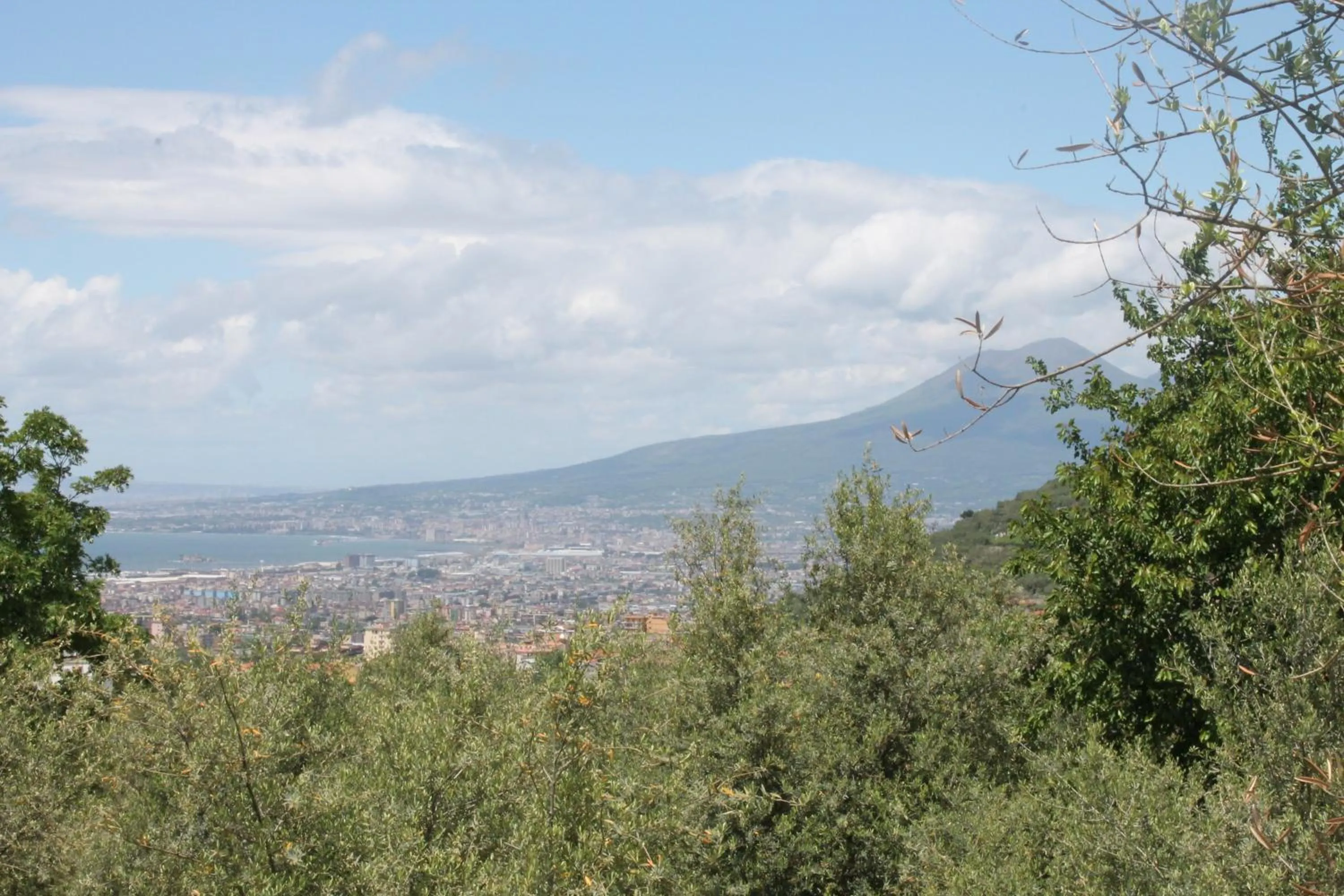 Day in Agriturismo Casa Scola