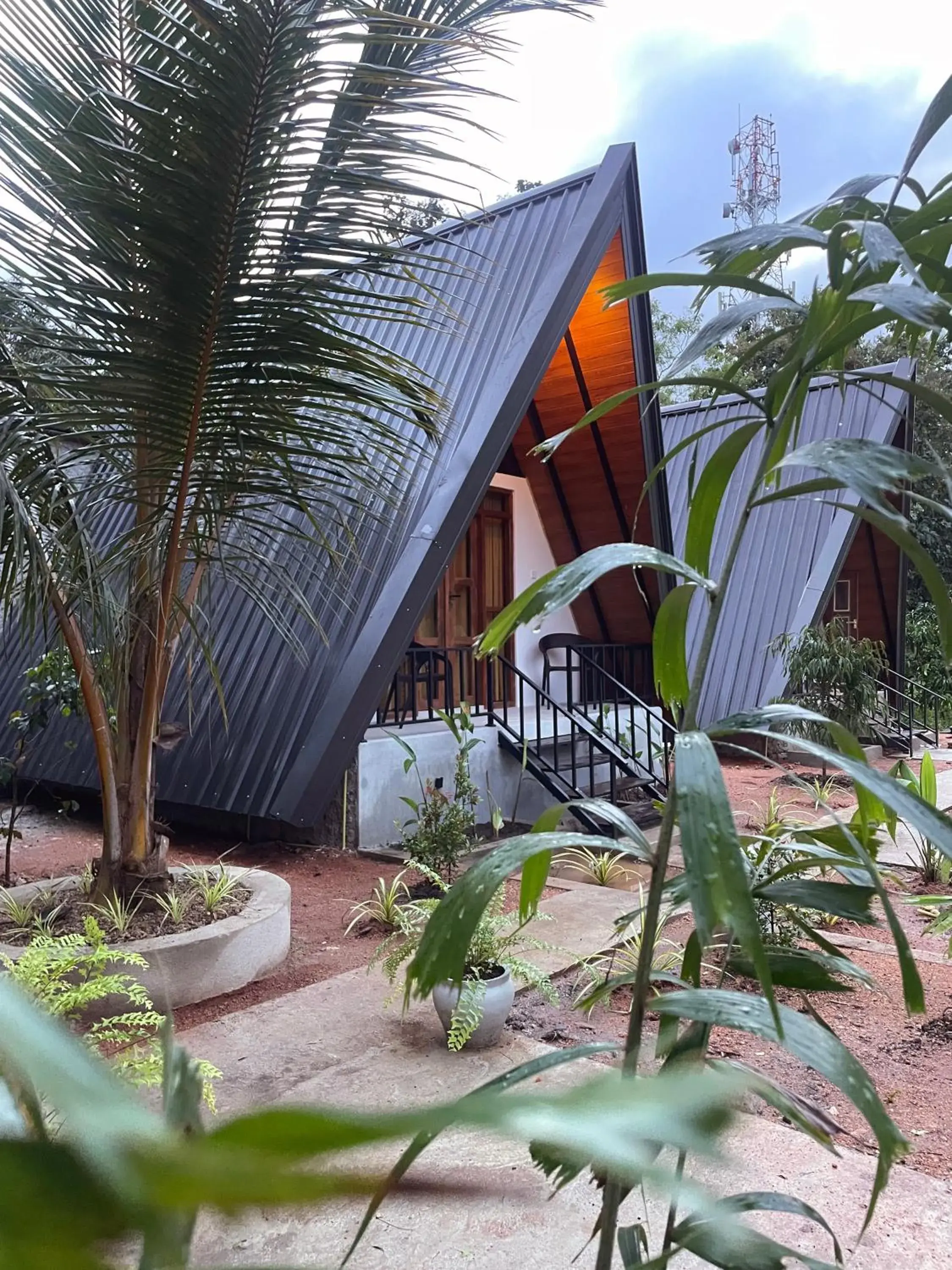 One-Bedroom Chalet - single occupancy in Yashi's Place Sigiriya One-Bedroom Chalet - single occupancy in Yashi's Place Sigiriya