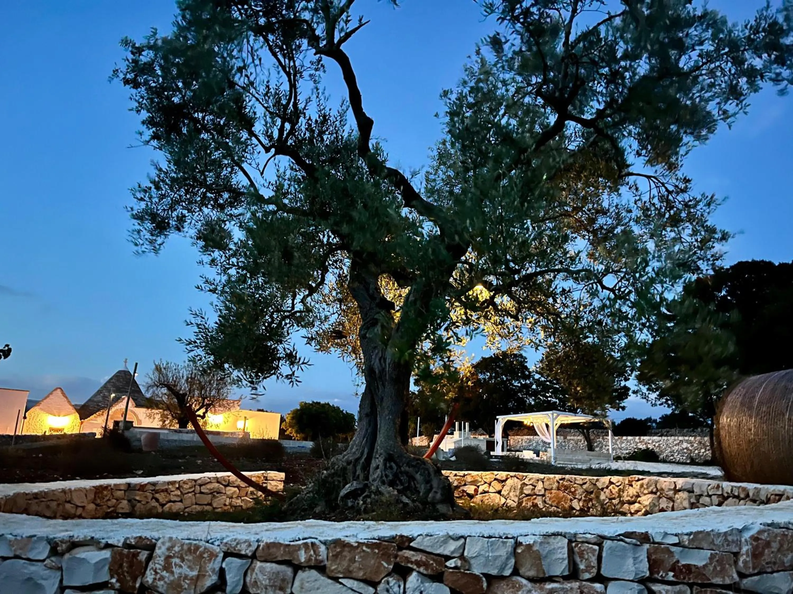 Garden view in Trullo Dimora Podere Papilio