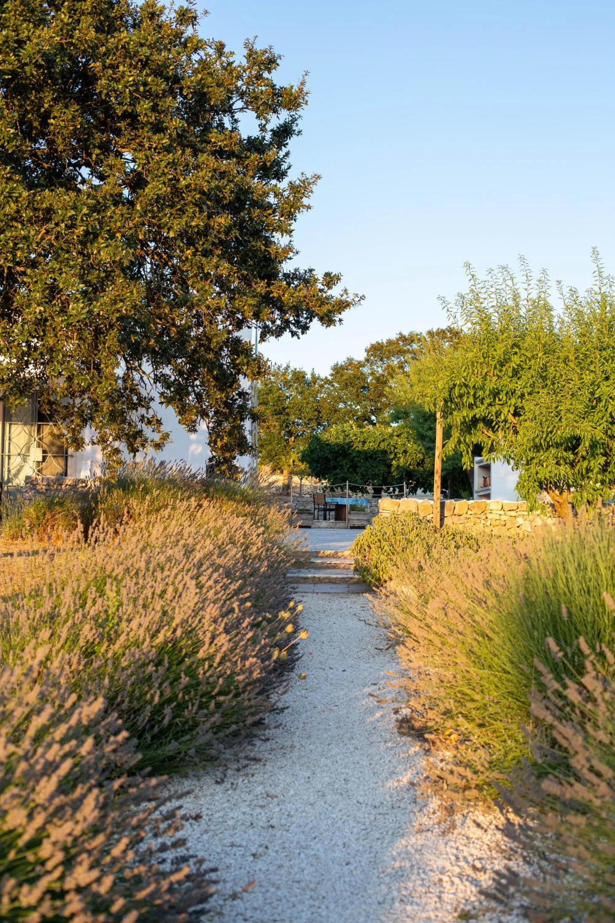 Natural landscape in Trullo Dimora Podere Papilio