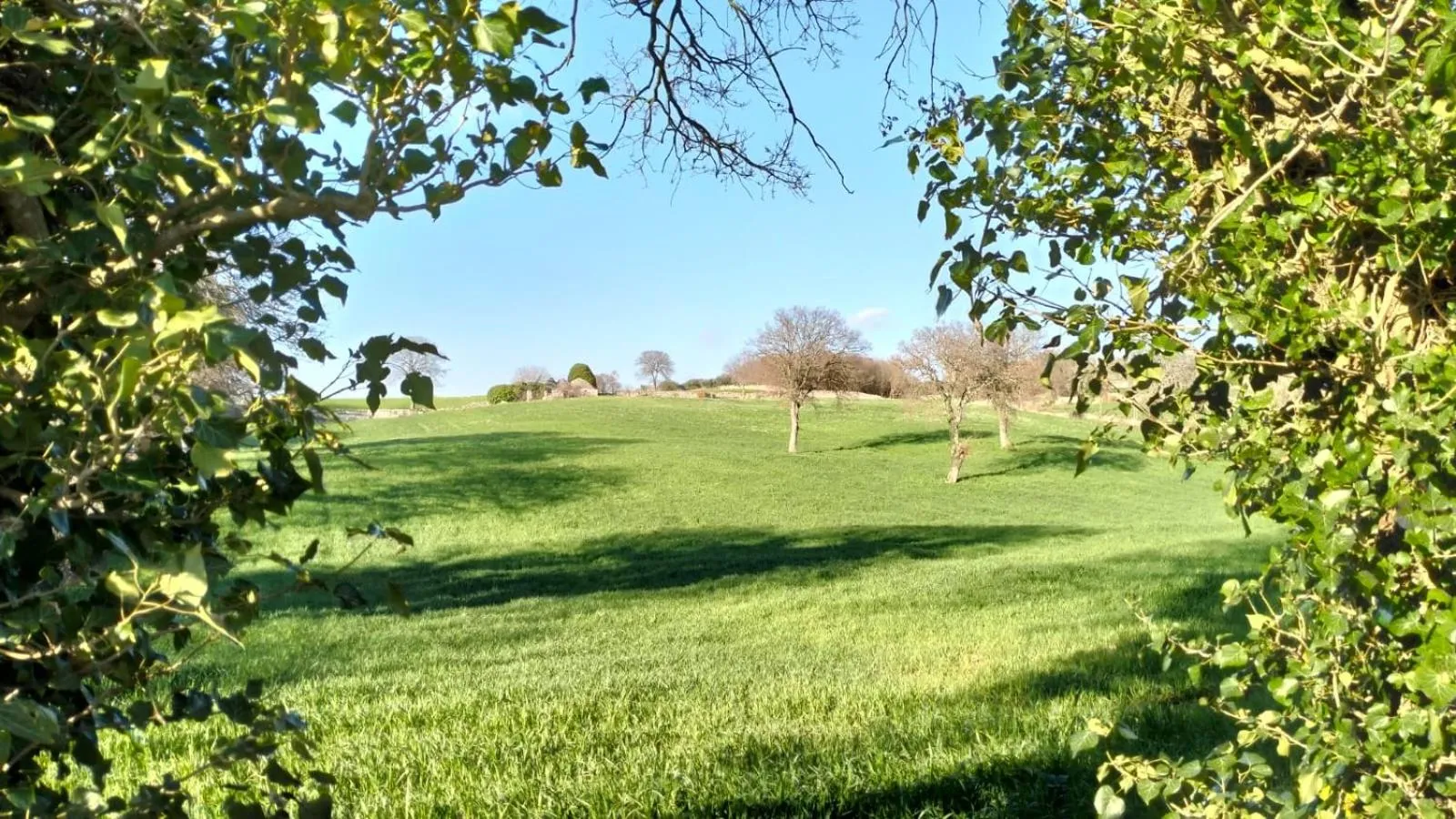 Natural landscape in Trullo Dimora Podere Papilio