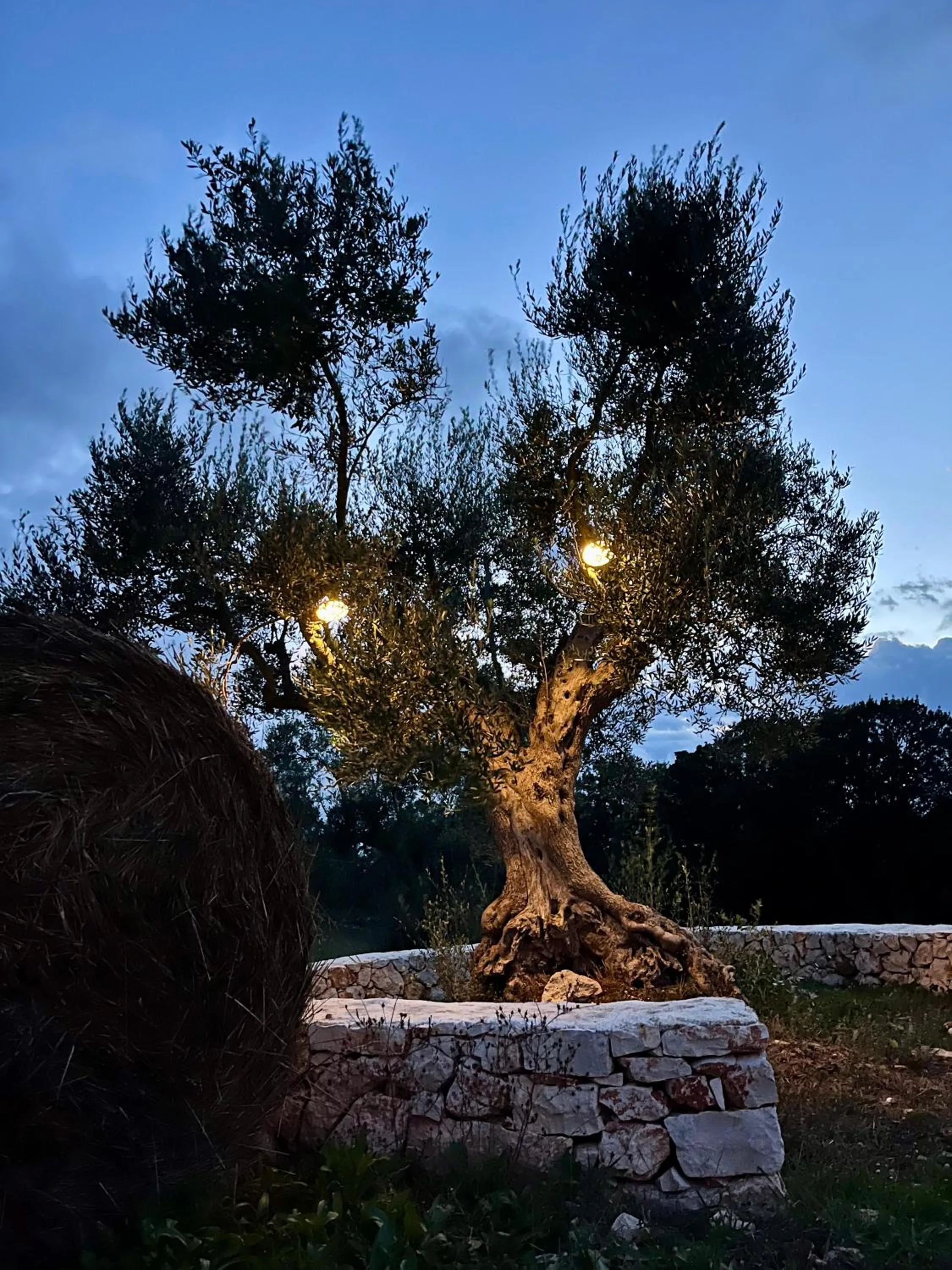 Natural landscape in Trullo Dimora Podere Papilio