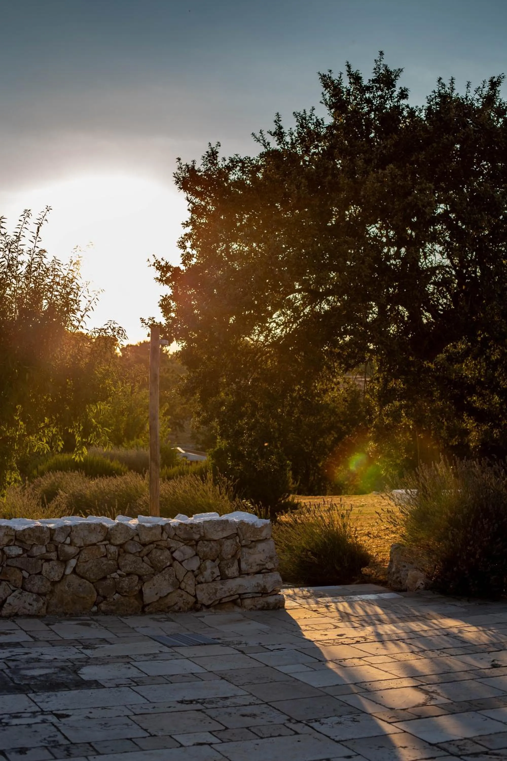 Garden view in Trullo Dimora Podere Papilio