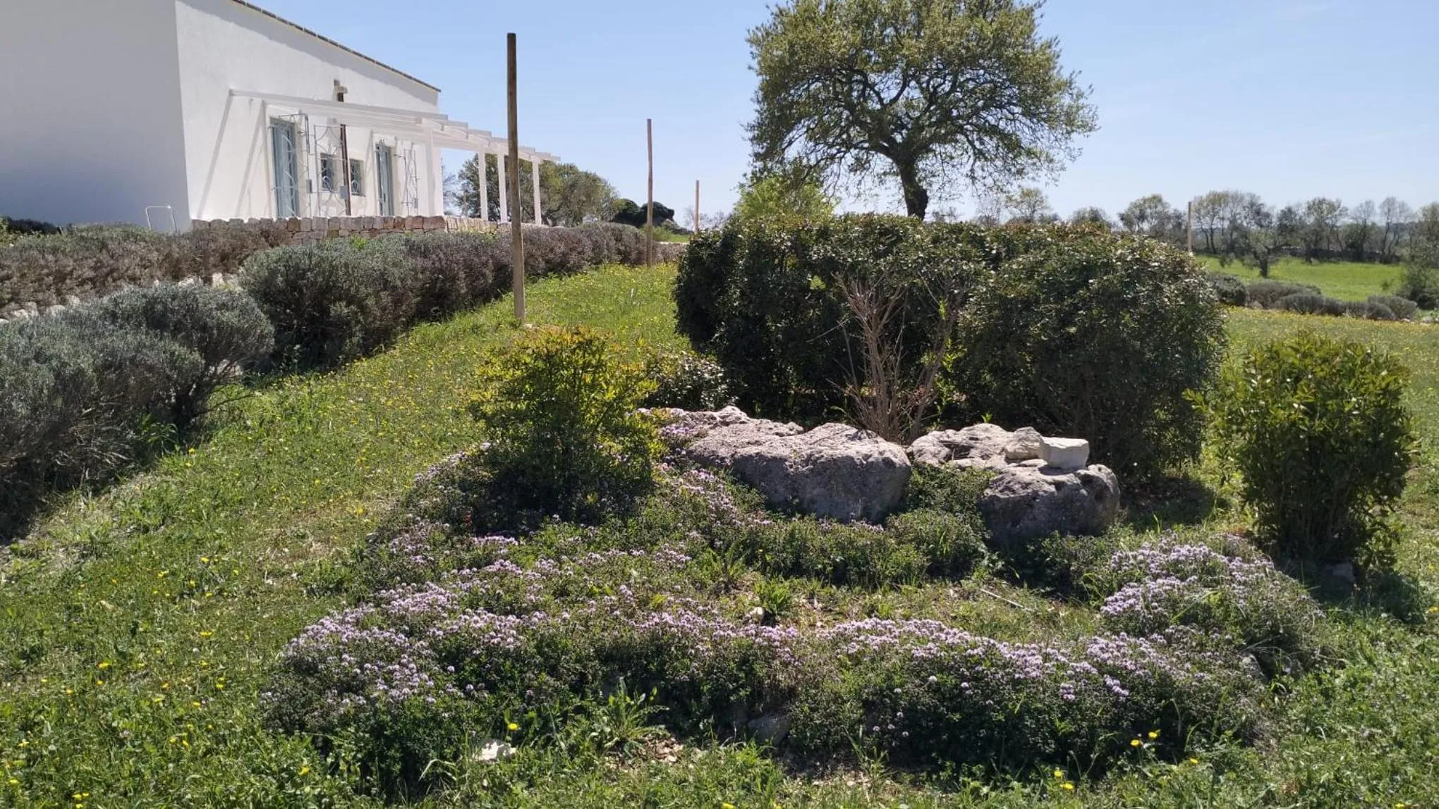 Garden in Trullo Dimora Podere Papilio