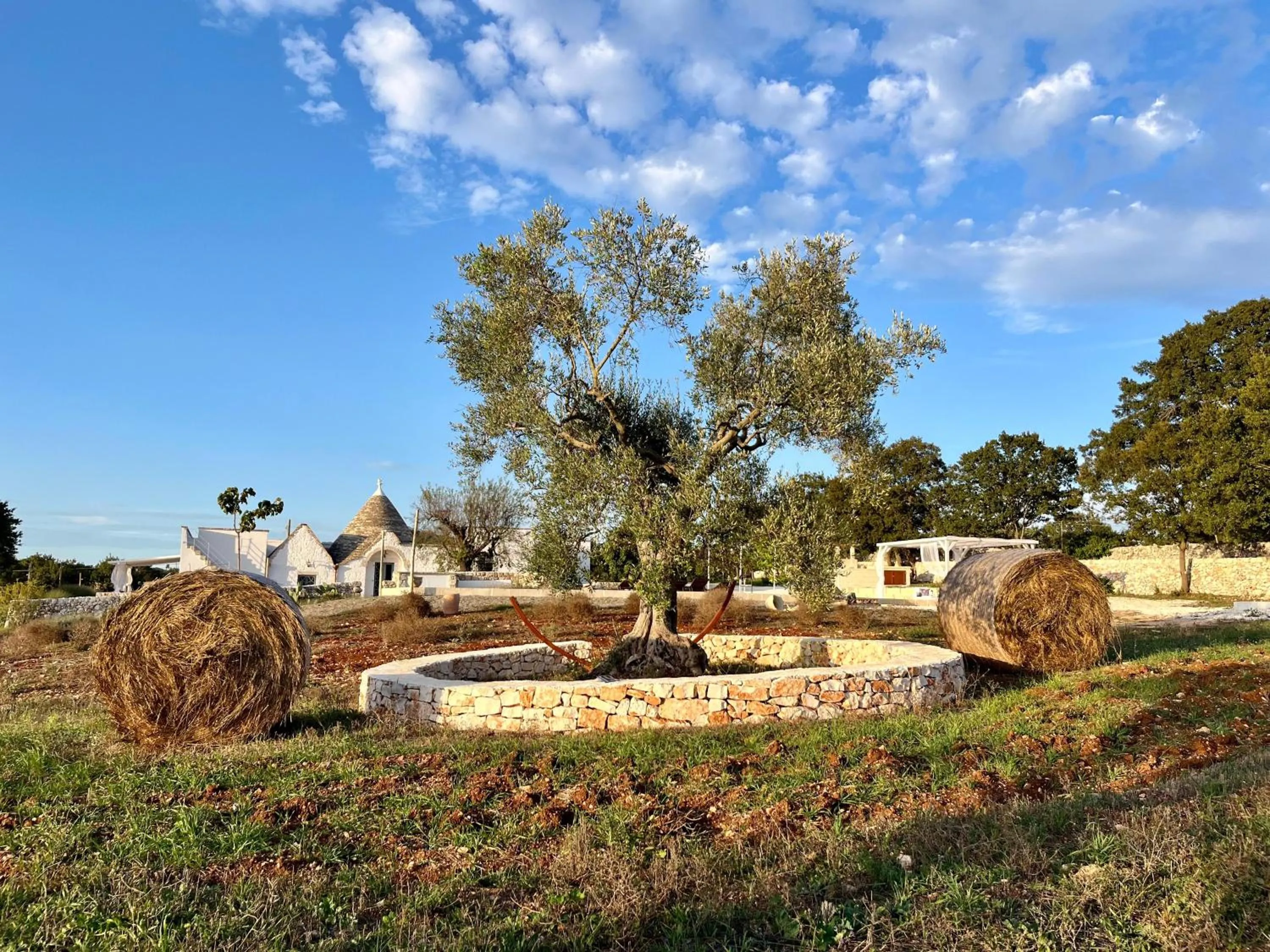 Natural landscape in Trullo Dimora Podere Papilio
