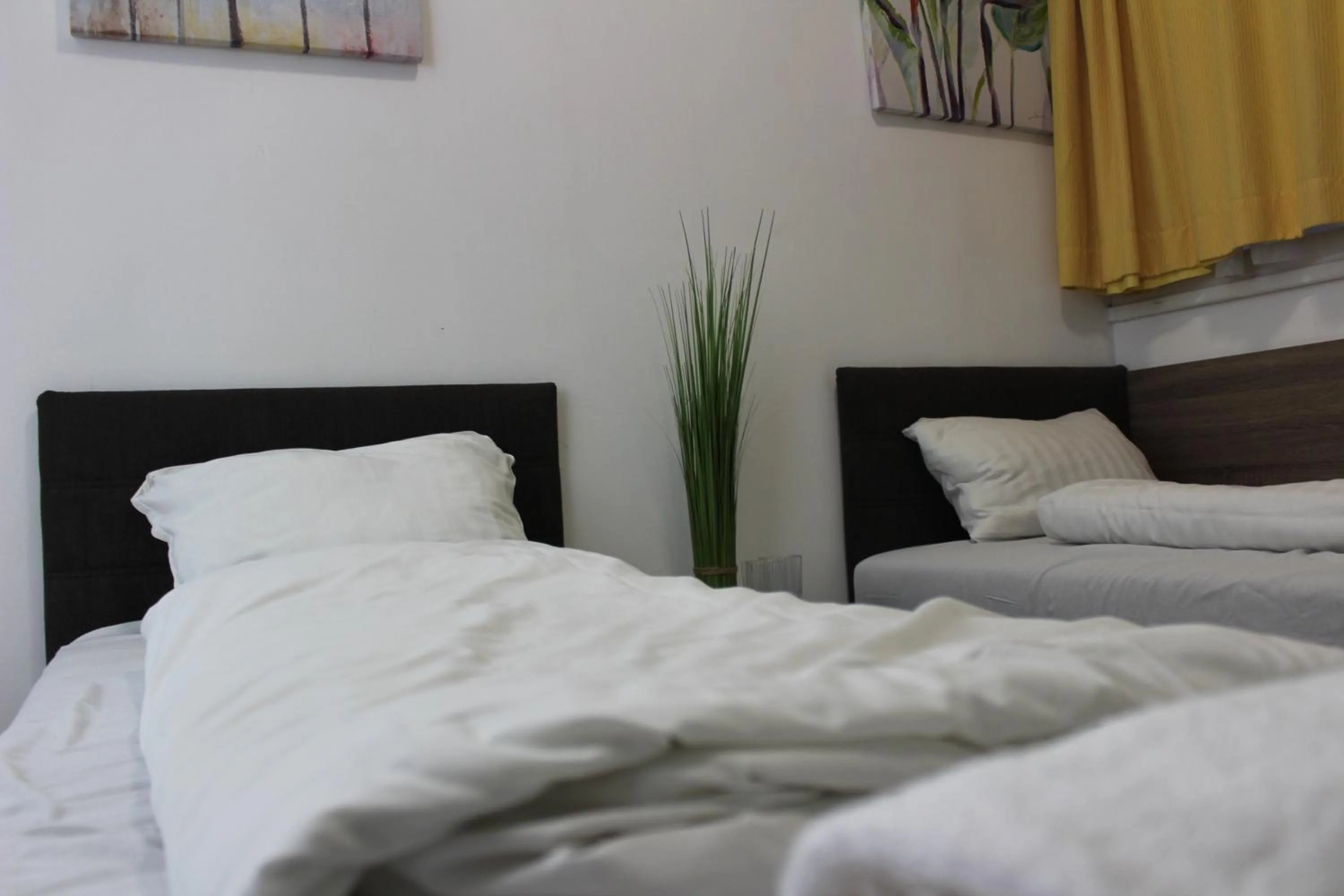 Bed in Absolut City Hostel Budapest