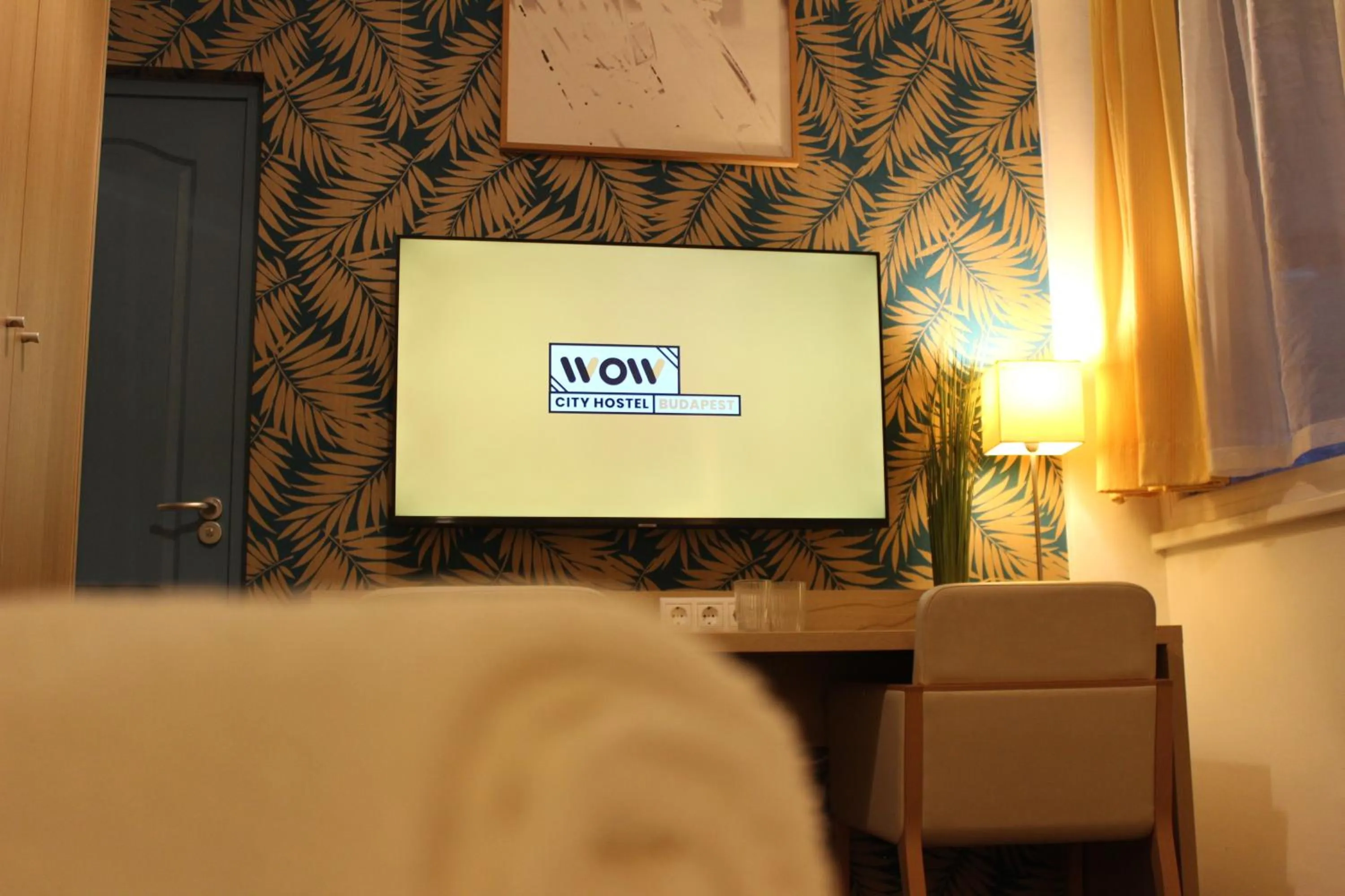 TV and multimedia in Absolut City Hostel Budapest