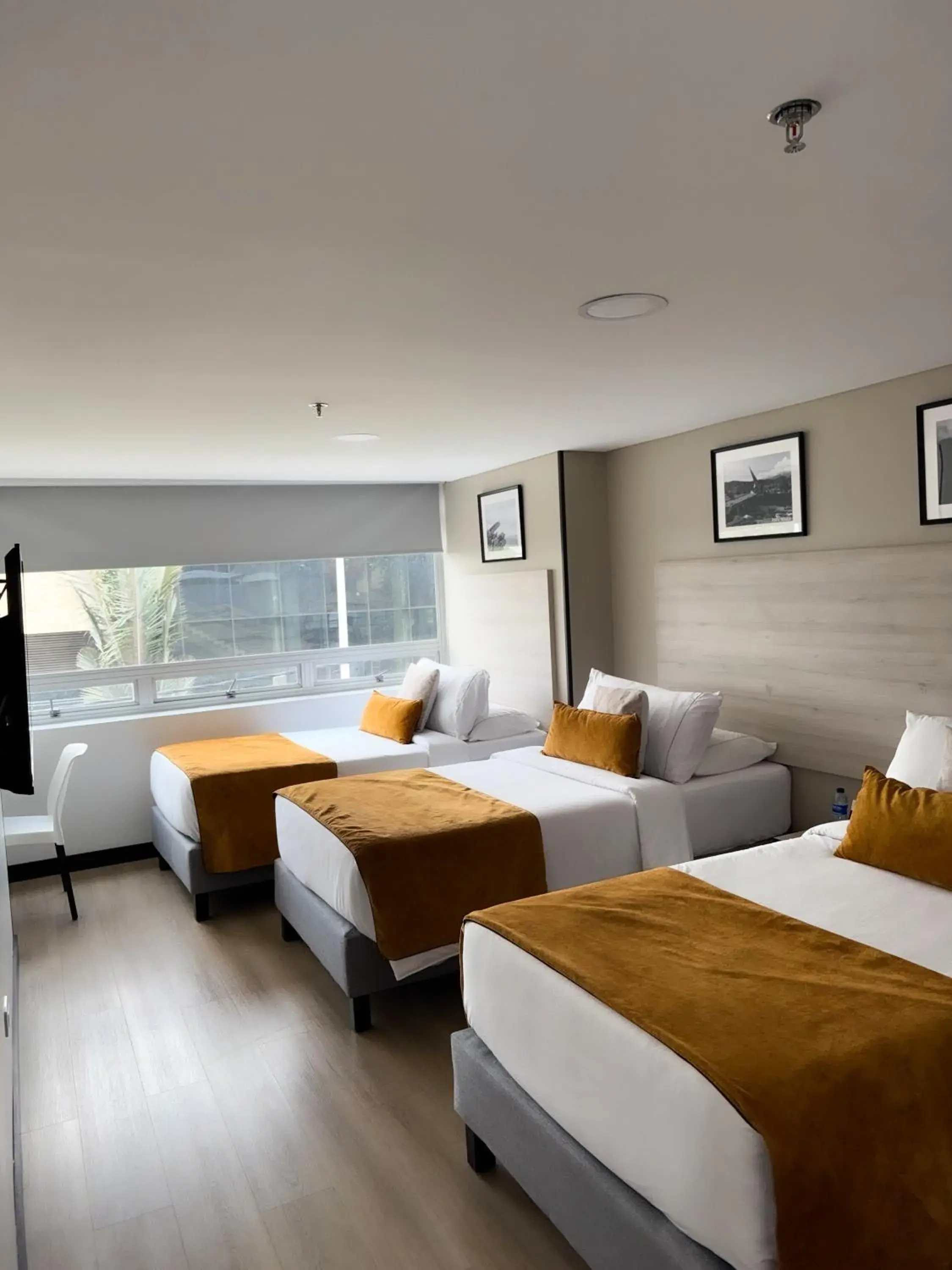 Triple Room in Hotel WLH Gold Bogota Triple Room in Hotel WLH Gold Bogota