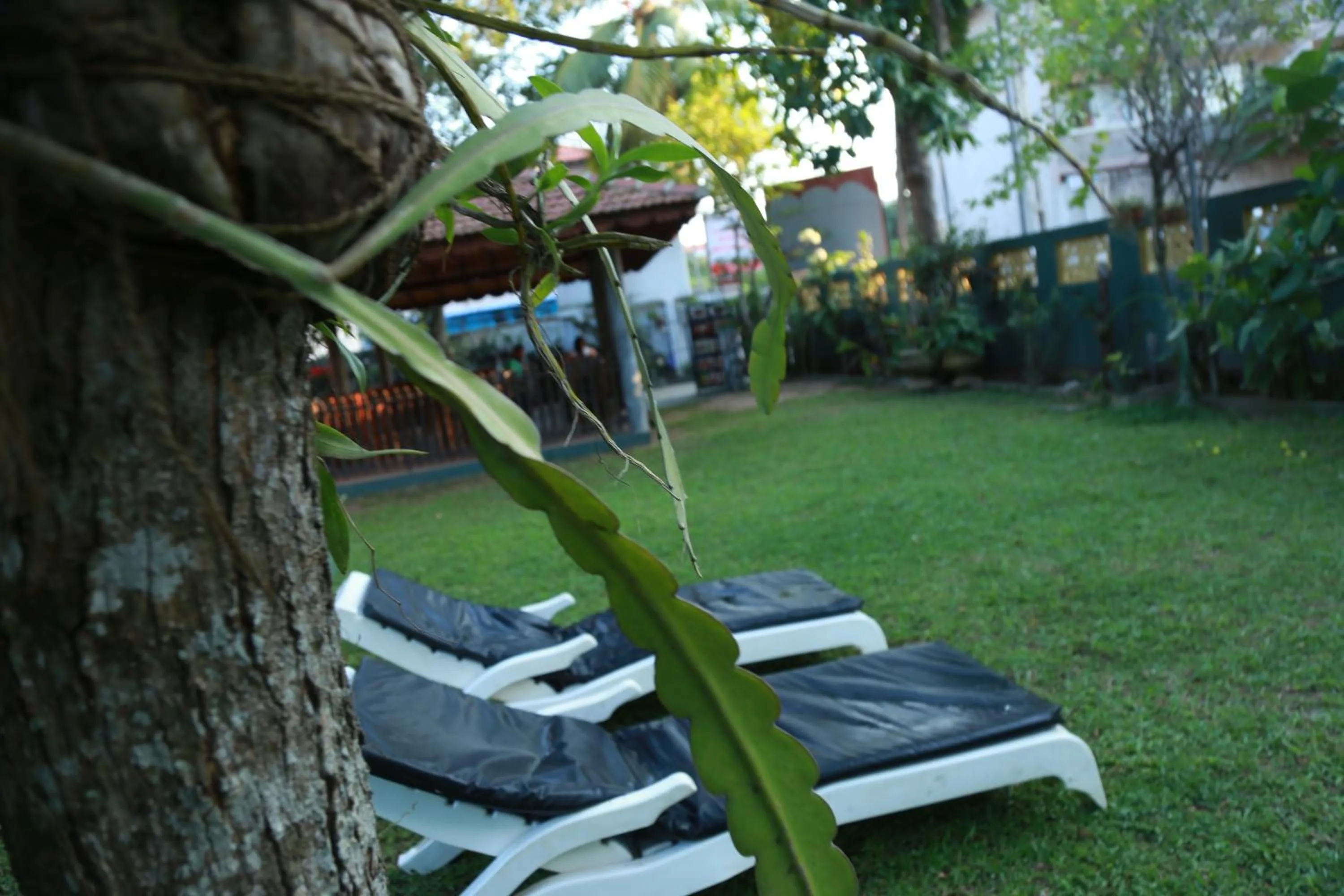 Garden view in Sumal Villa