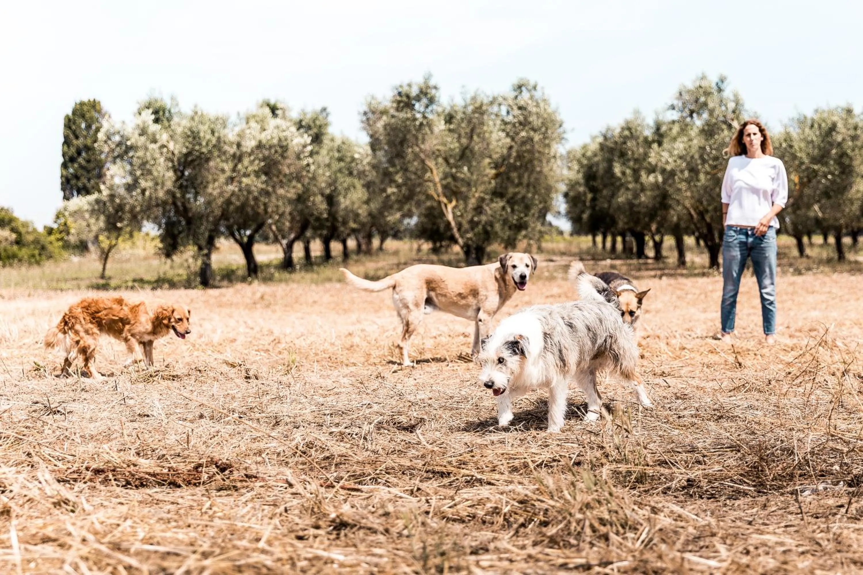 Nearby landmark in Masseria Prosperi