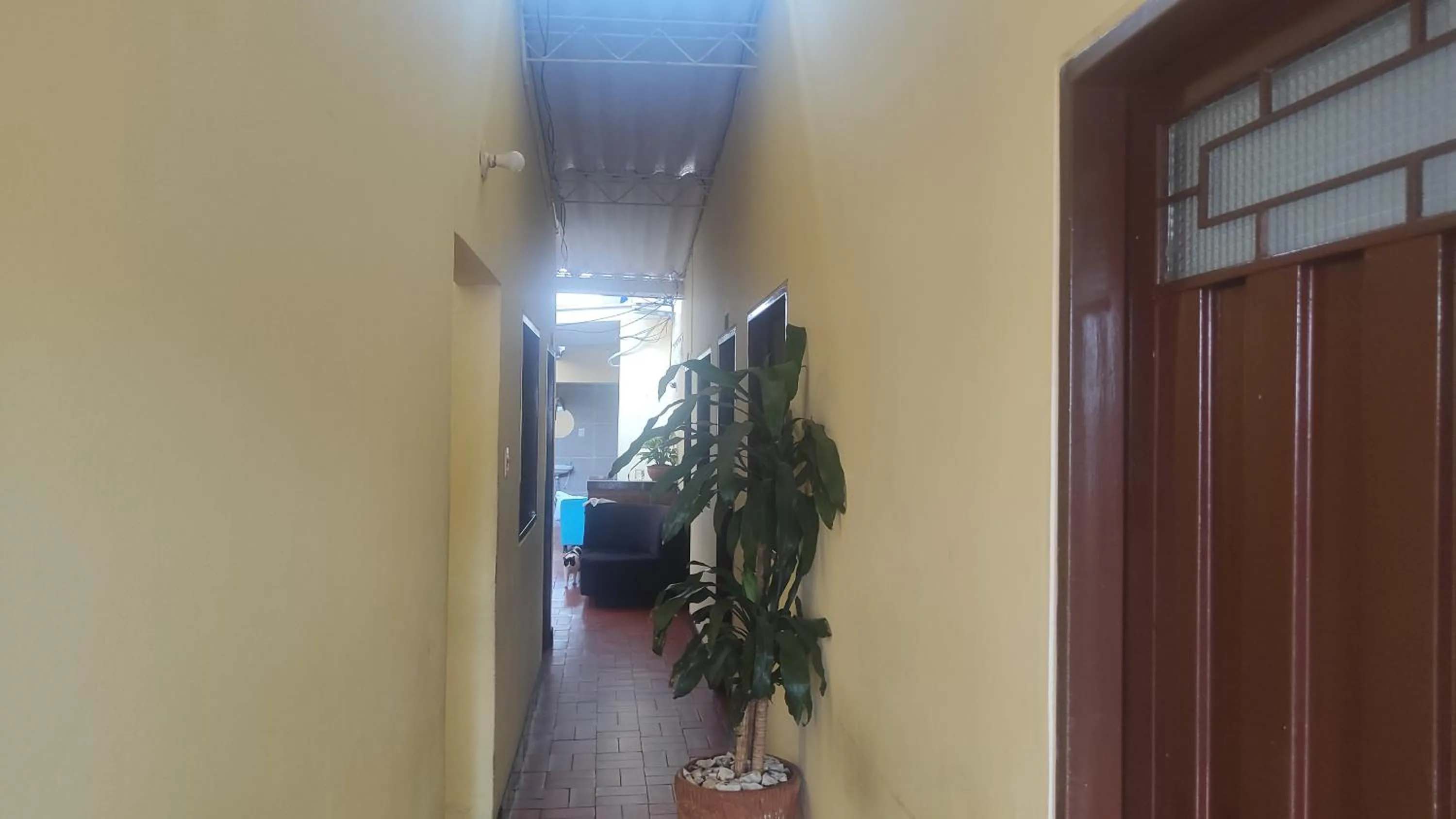 Nuevo hospedaje benny