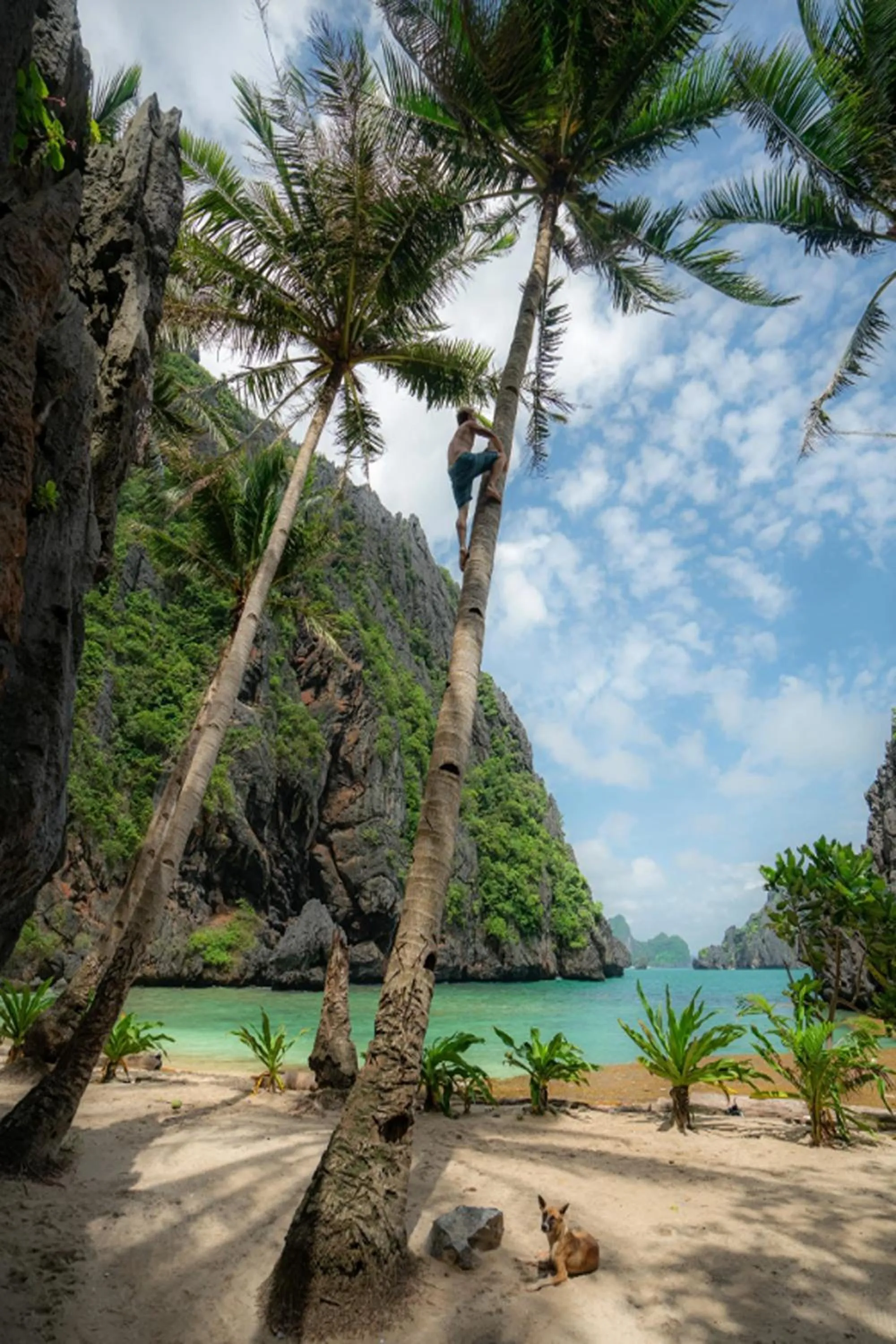 group of guests in Chibel Summer Riverside Resort
