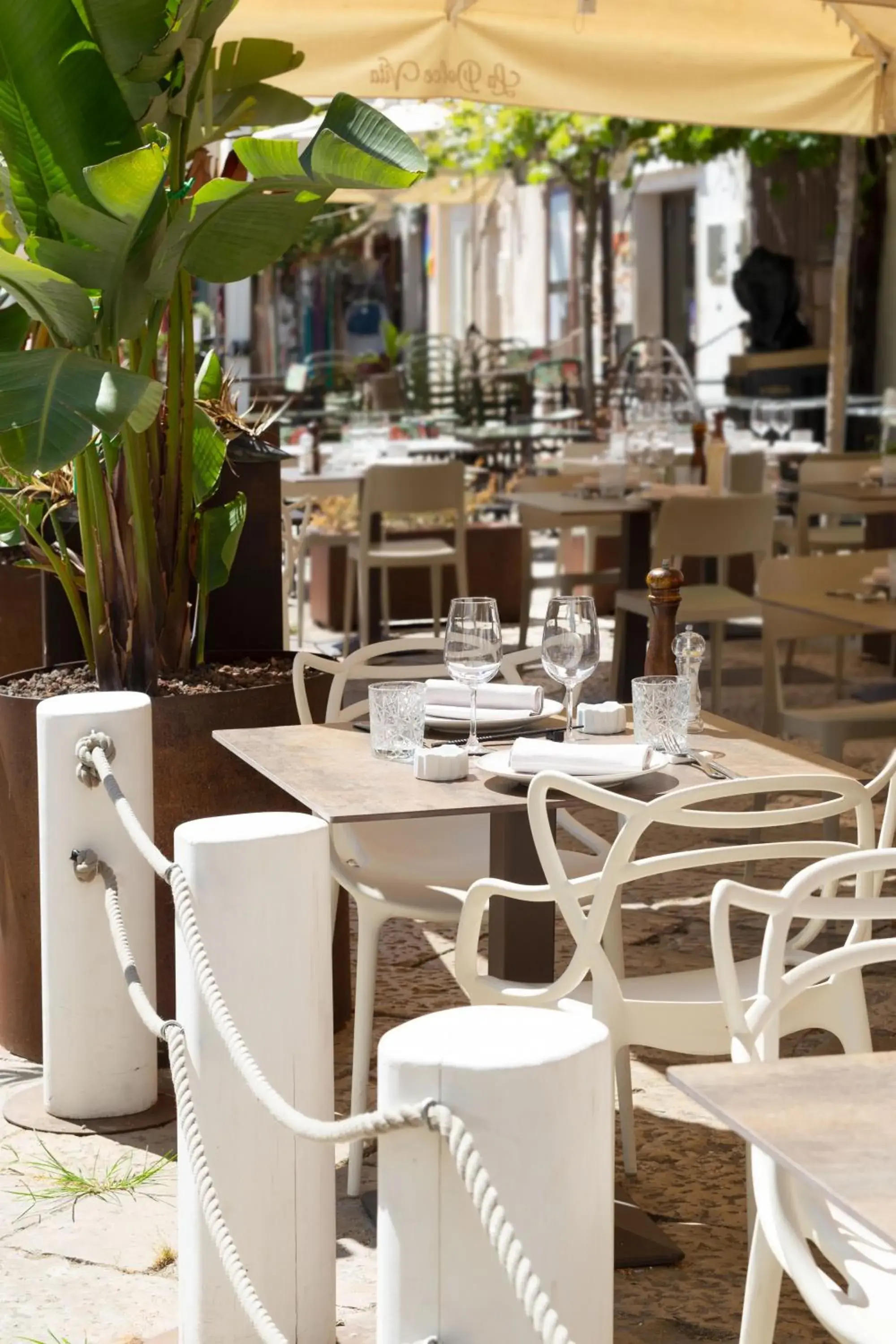 Restaurant/places to eat in Palazzo Giuditta Restaurant/places to eat in Palazzo Giuditta