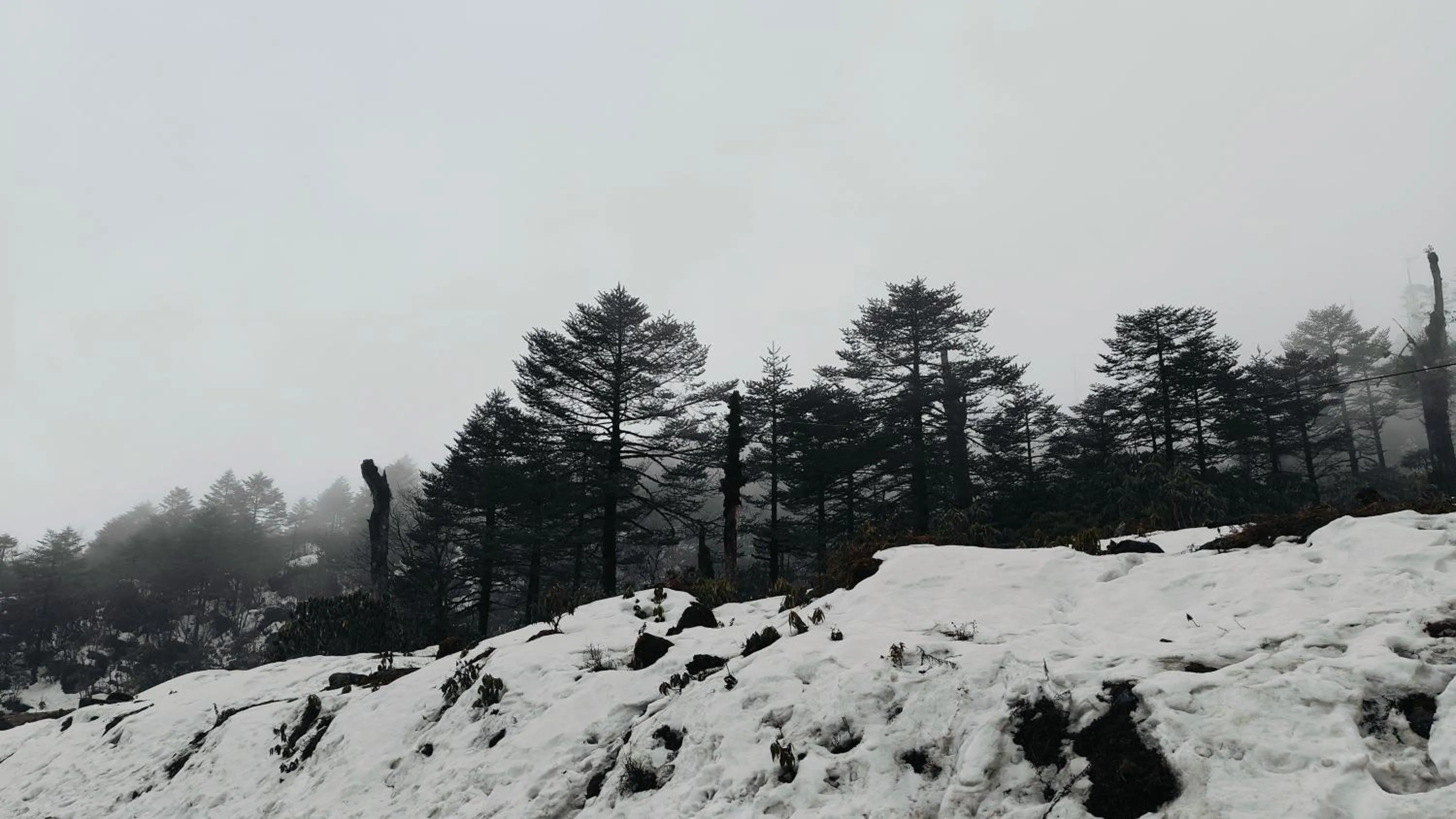 View (from property/room) in Mount Bayul Shangri-La Resort