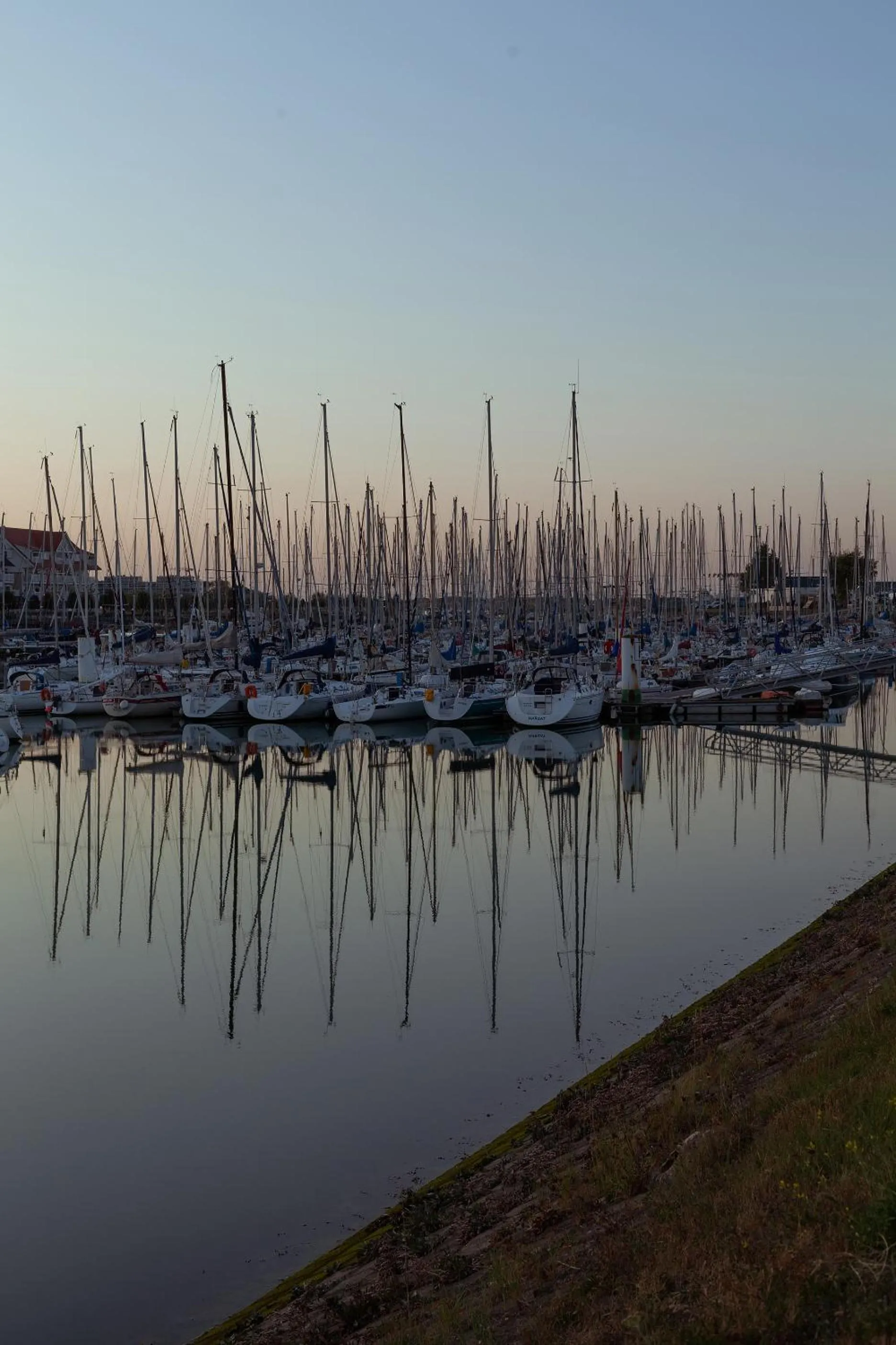 Natural landscape in Apartment Zonnehaven
