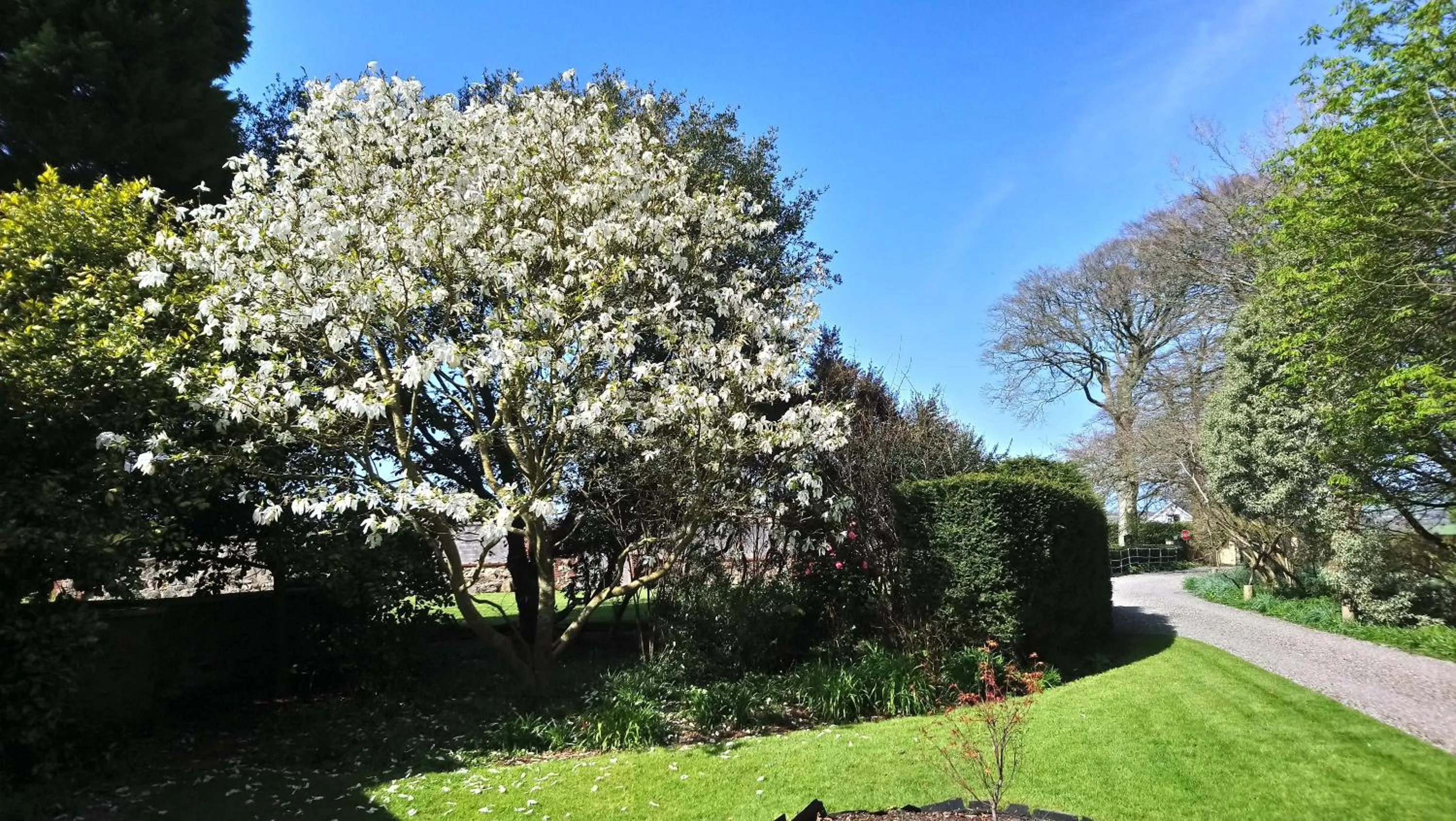 Property building in Kilmokea Country Manor & Gardens