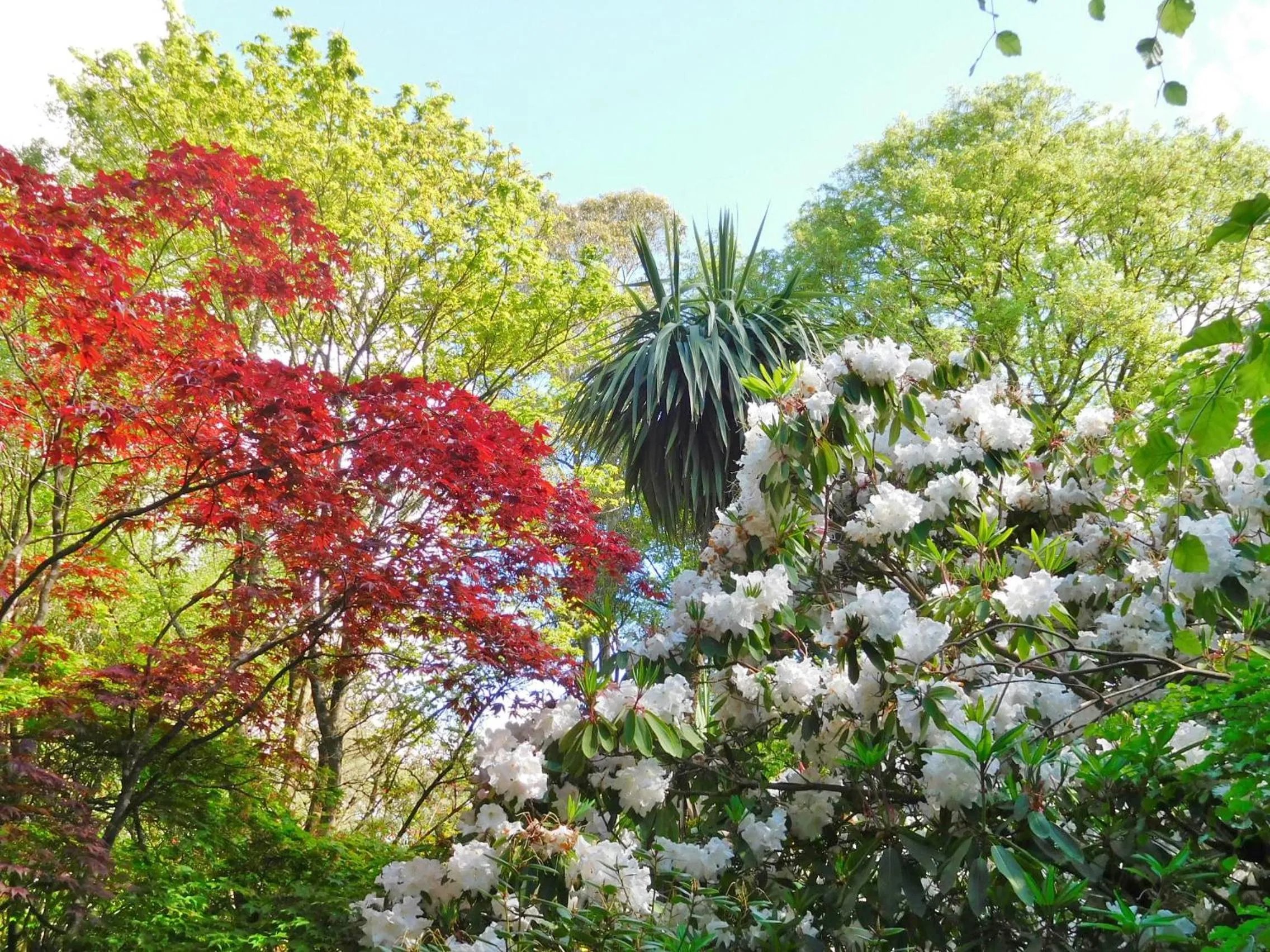 Property building in Kilmokea Country Manor & Gardens