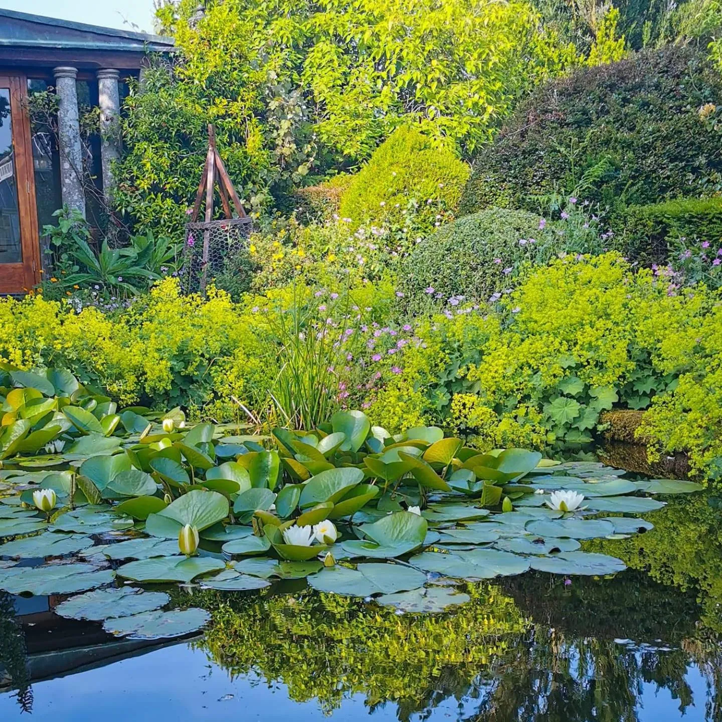 Garden in Kilmokea Country Manor & Gardens
