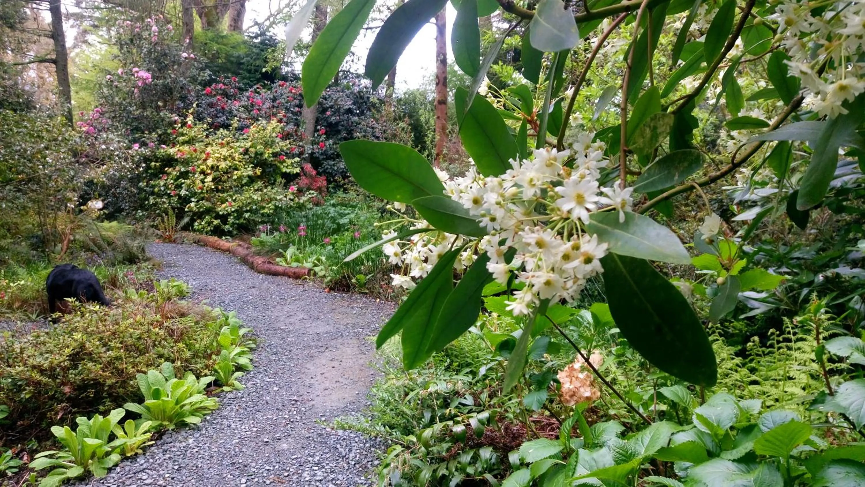 Property building in Kilmokea Country Manor & Gardens