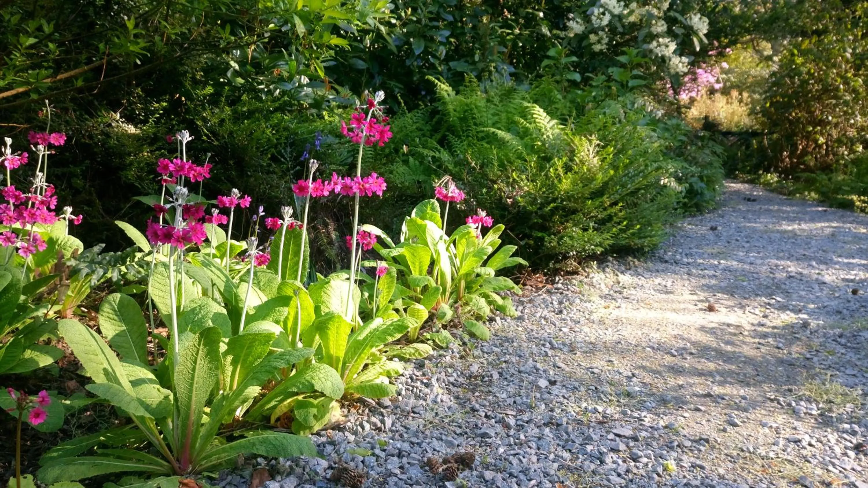 Property building in Kilmokea Country Manor & Gardens