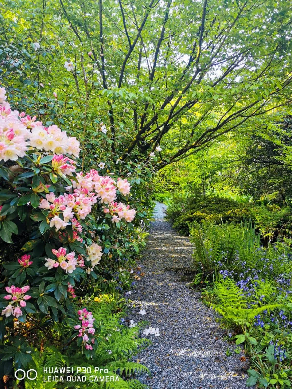 Garden in Kilmokea Country Manor & Gardens