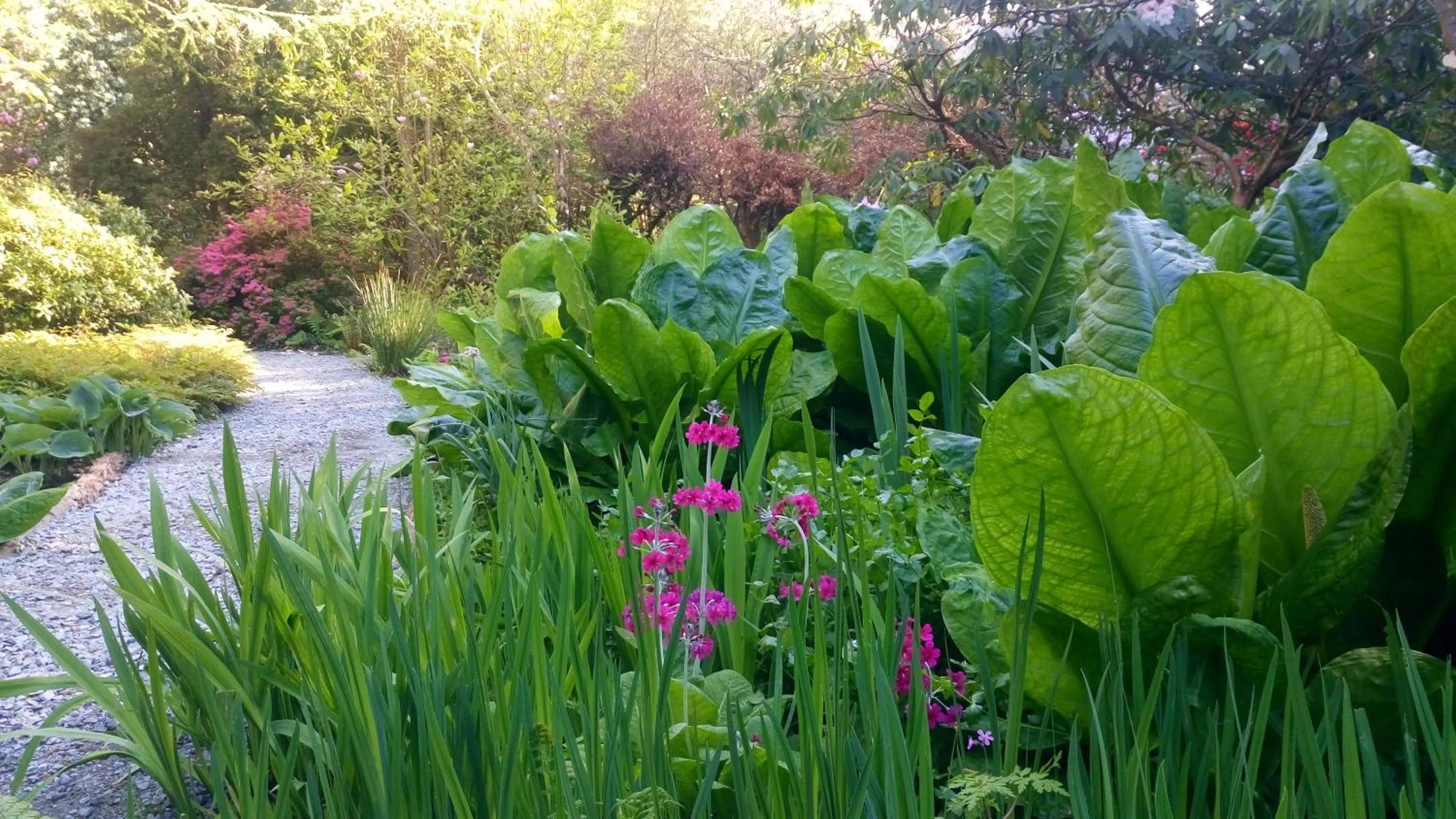 Garden in Kilmokea Country Manor & Gardens
