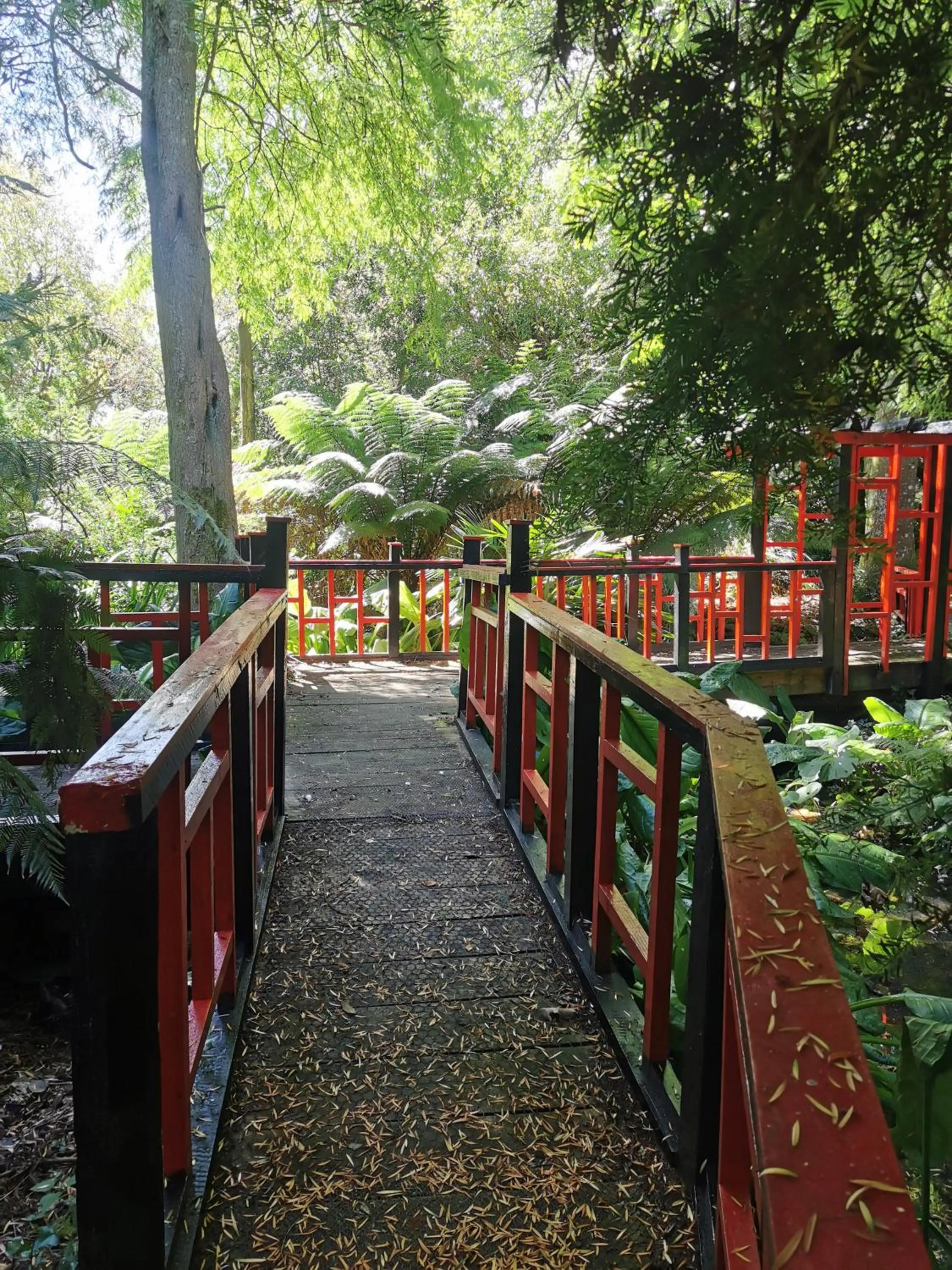 Garden in Kilmokea Country Manor & Gardens