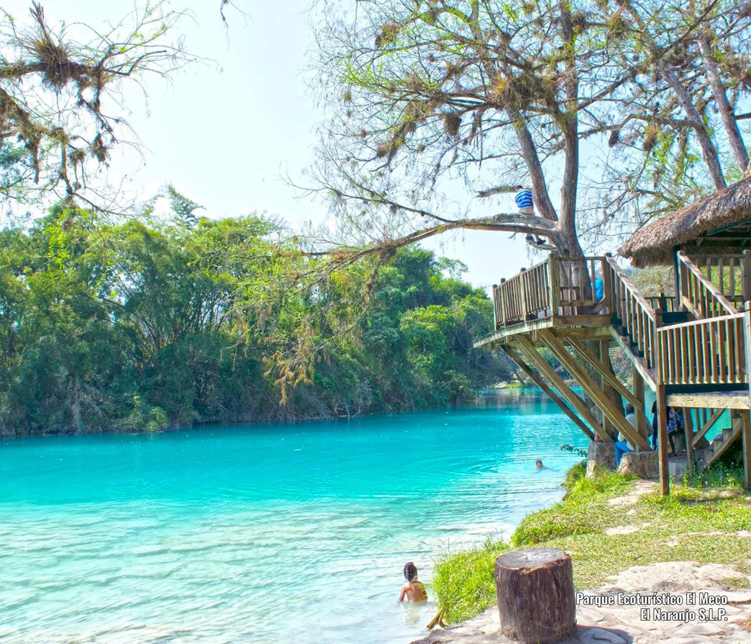 Natural landscape in Hotel Del Valle