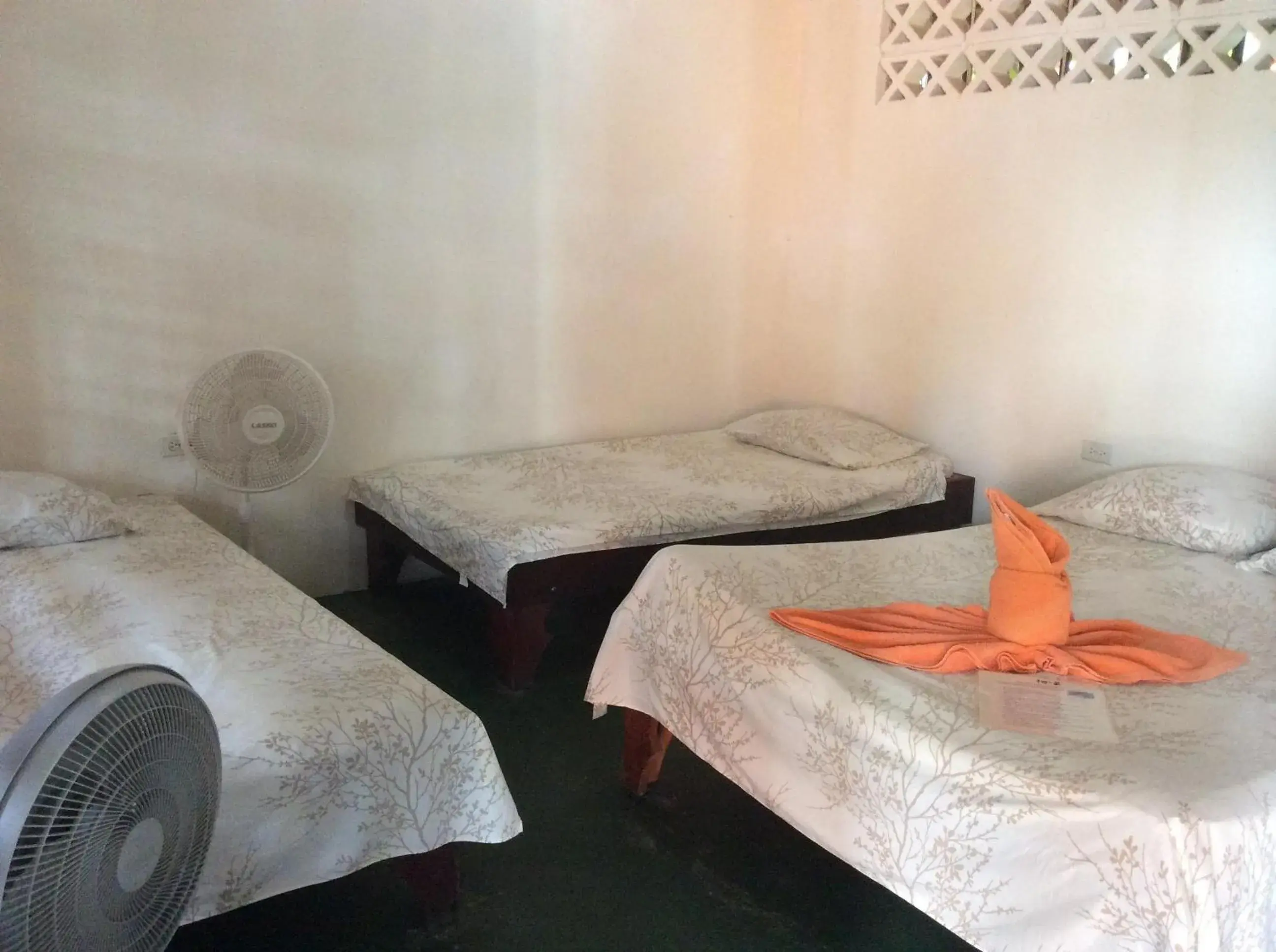 Triple Room in Cabinas Balcon del Mar Tortuguero Triple Room in Cabinas Balcon del Mar Tortuguero