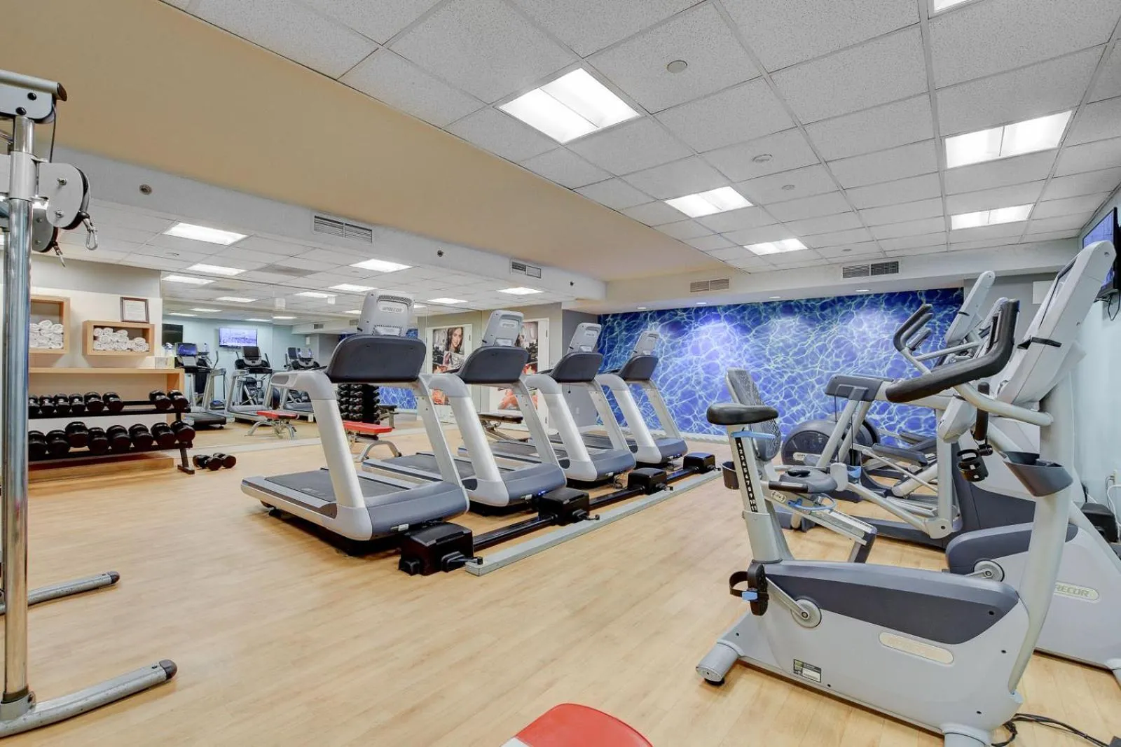 Fitness centre/facilities in Royal Oasis Suite at Platinum Hotel-Strip Views