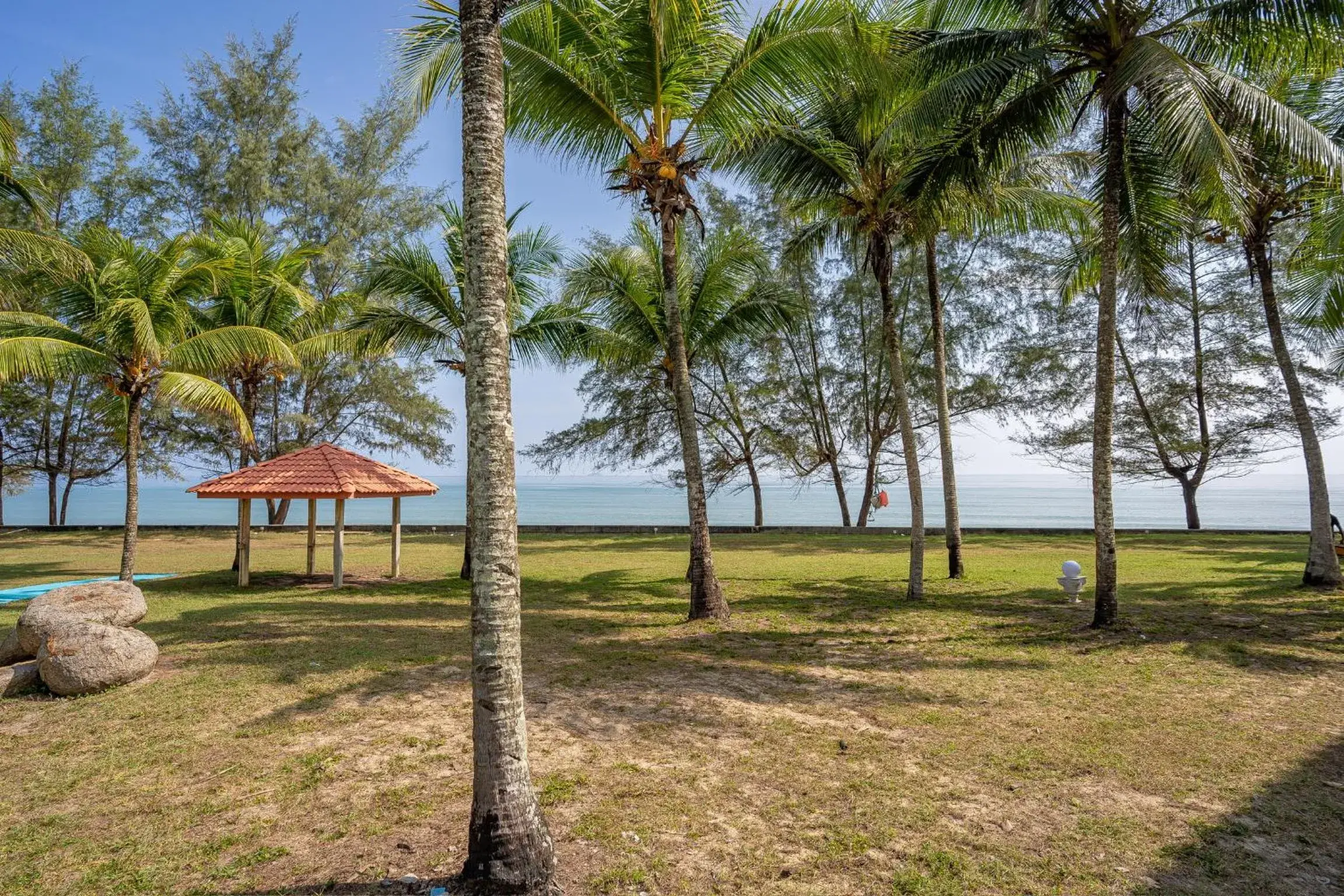 Natural landscape in BIDONG VIEW RESORT Natural landscape in BIDONG VIEW RESORT