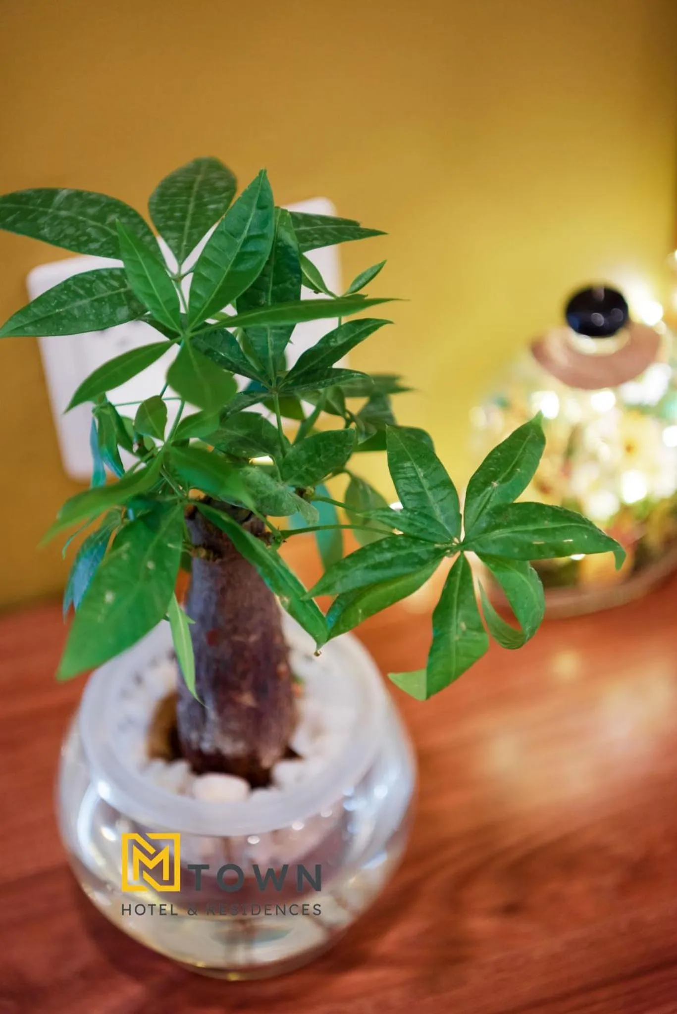 Decorative detail in Luxy Park Hotel & Apartments - MTown