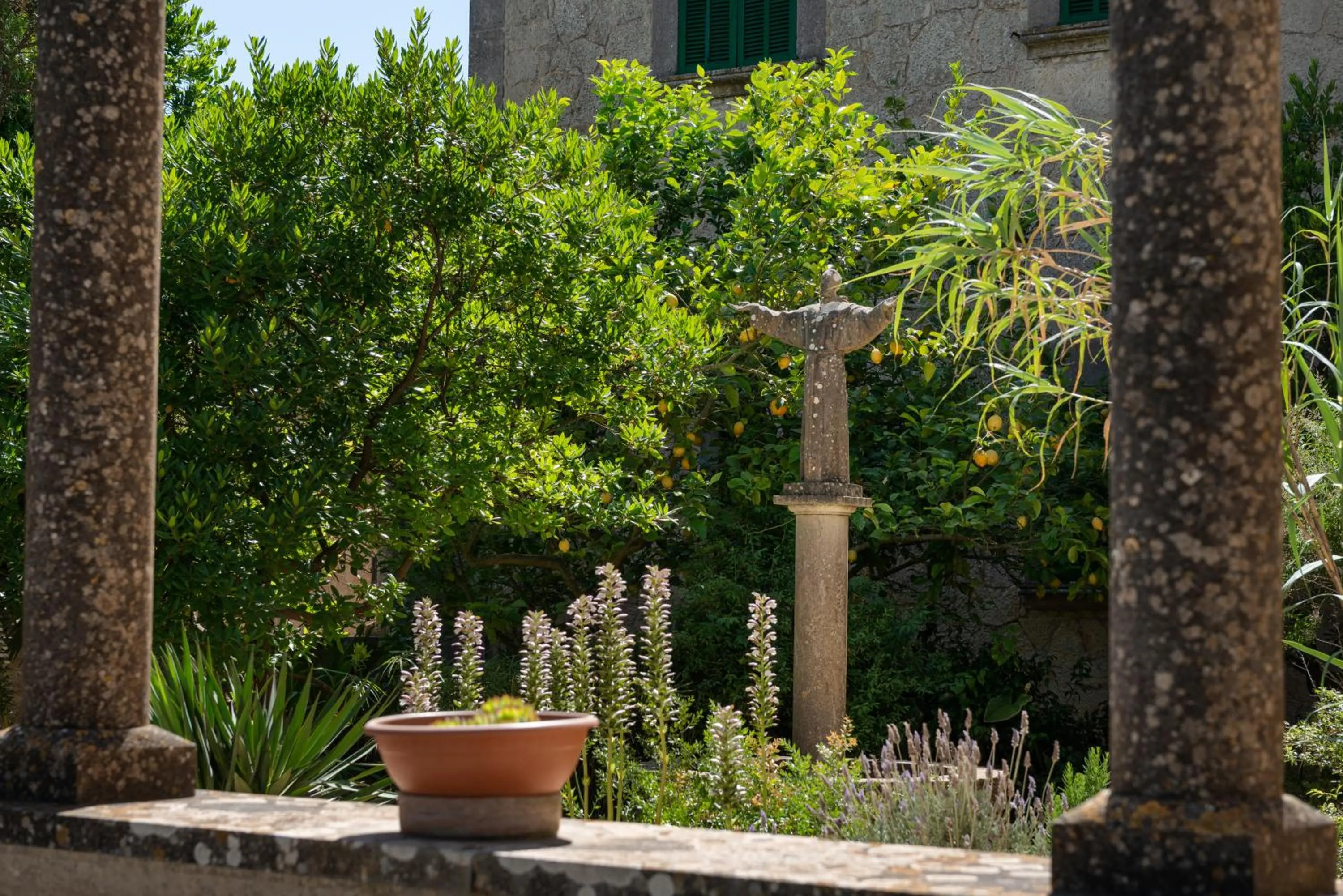 Garden in Santuari de Cura