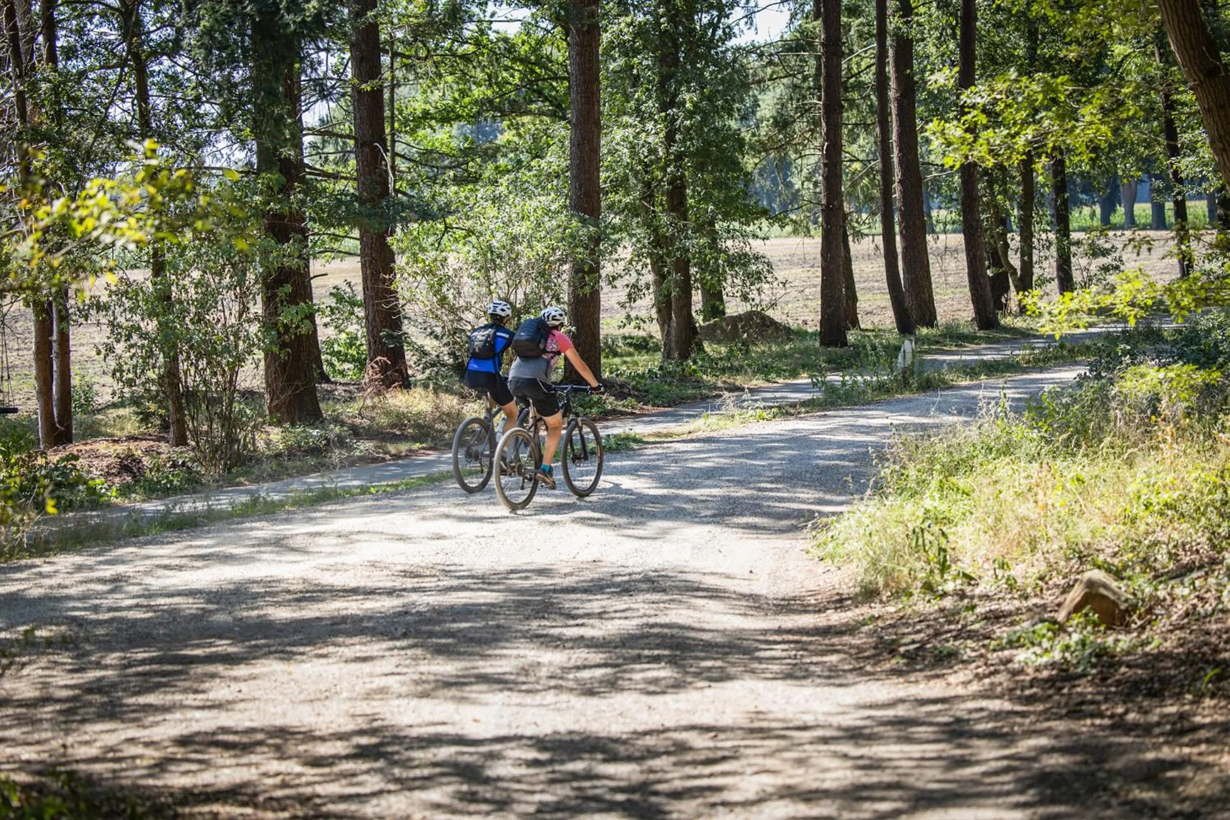 Cycling in Restaurant & Hotel Hoog Holten