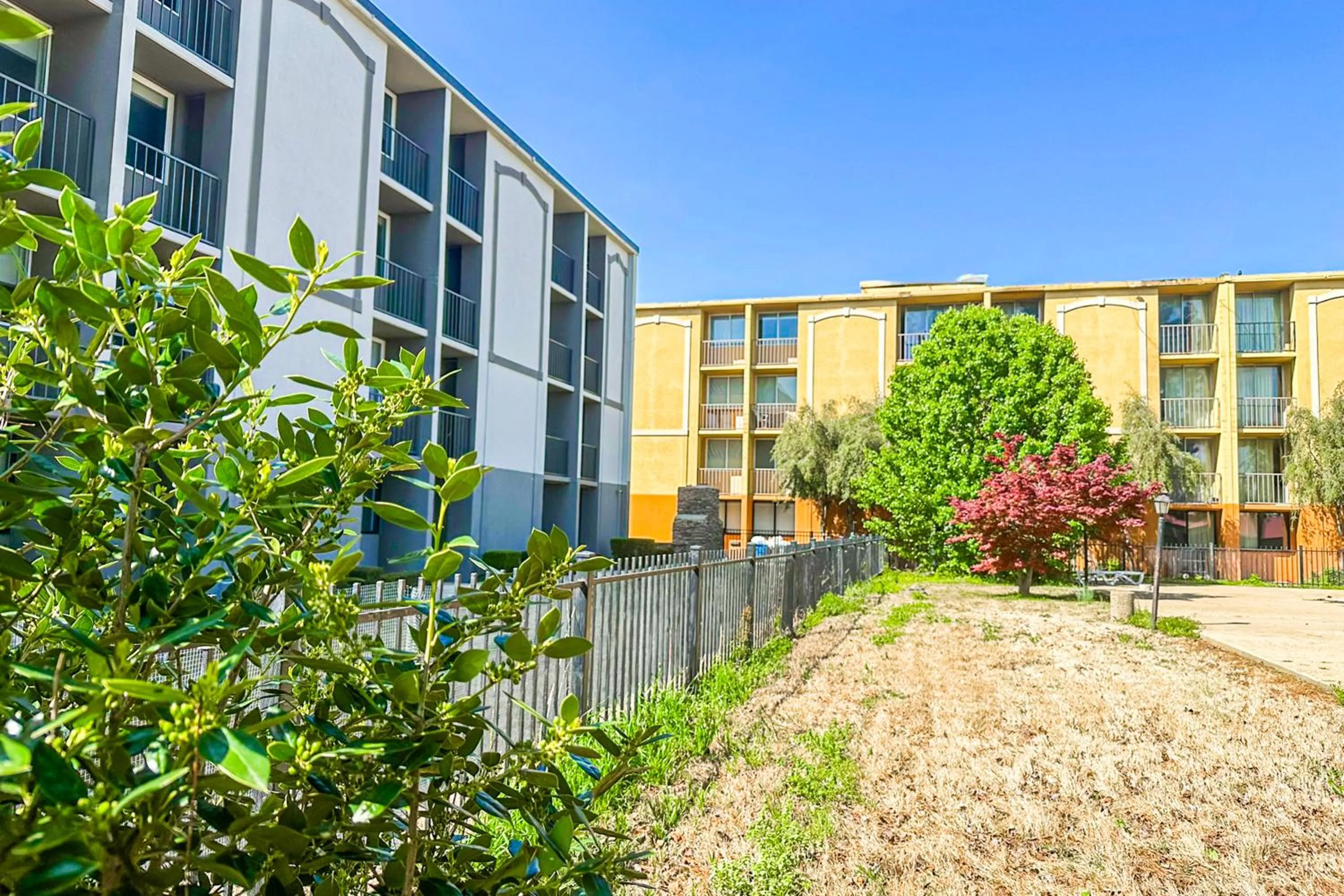 Garden in Jackson Hotel And Convention Center