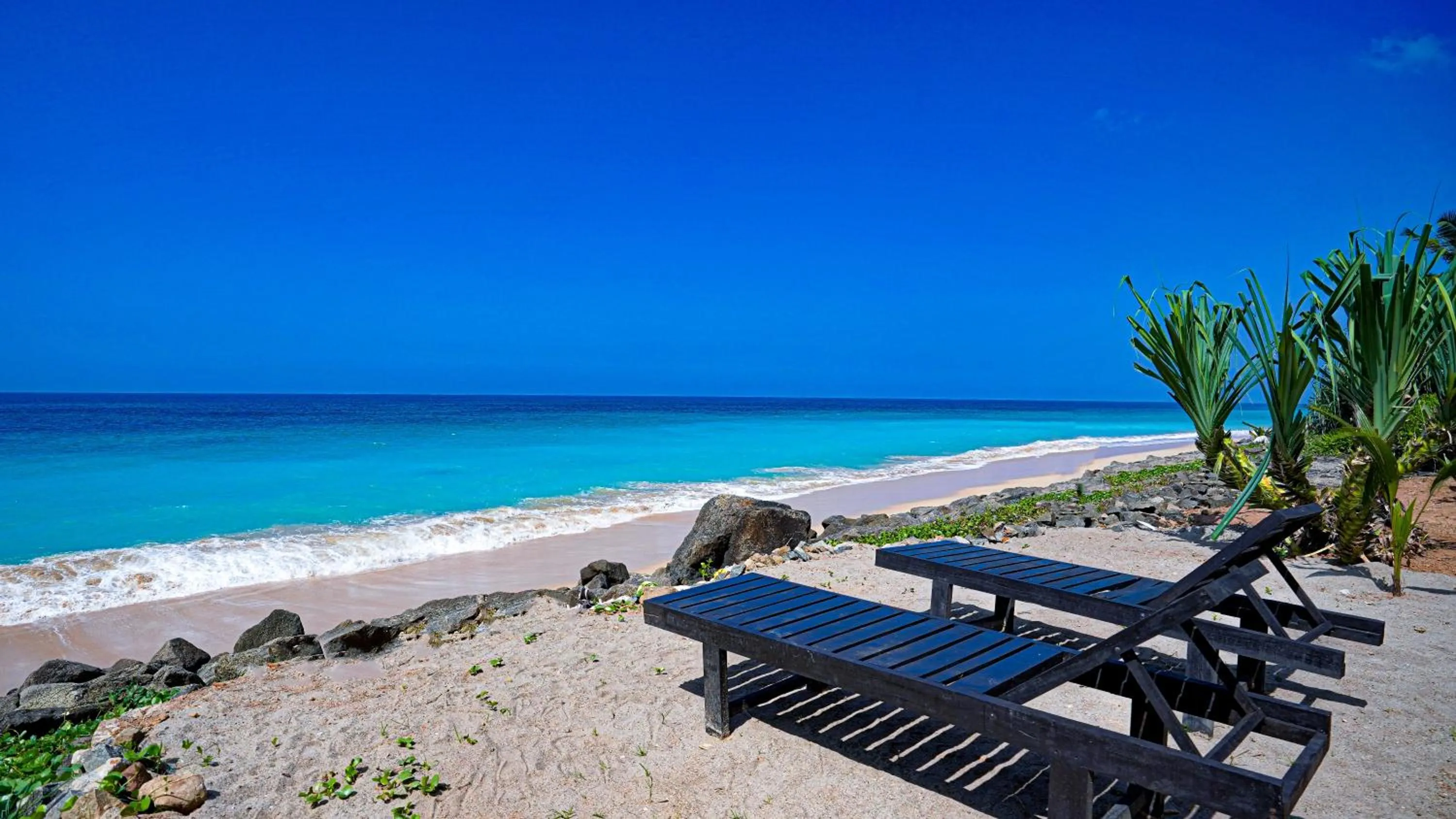 Day in Beyond The Sea By Ceylonese