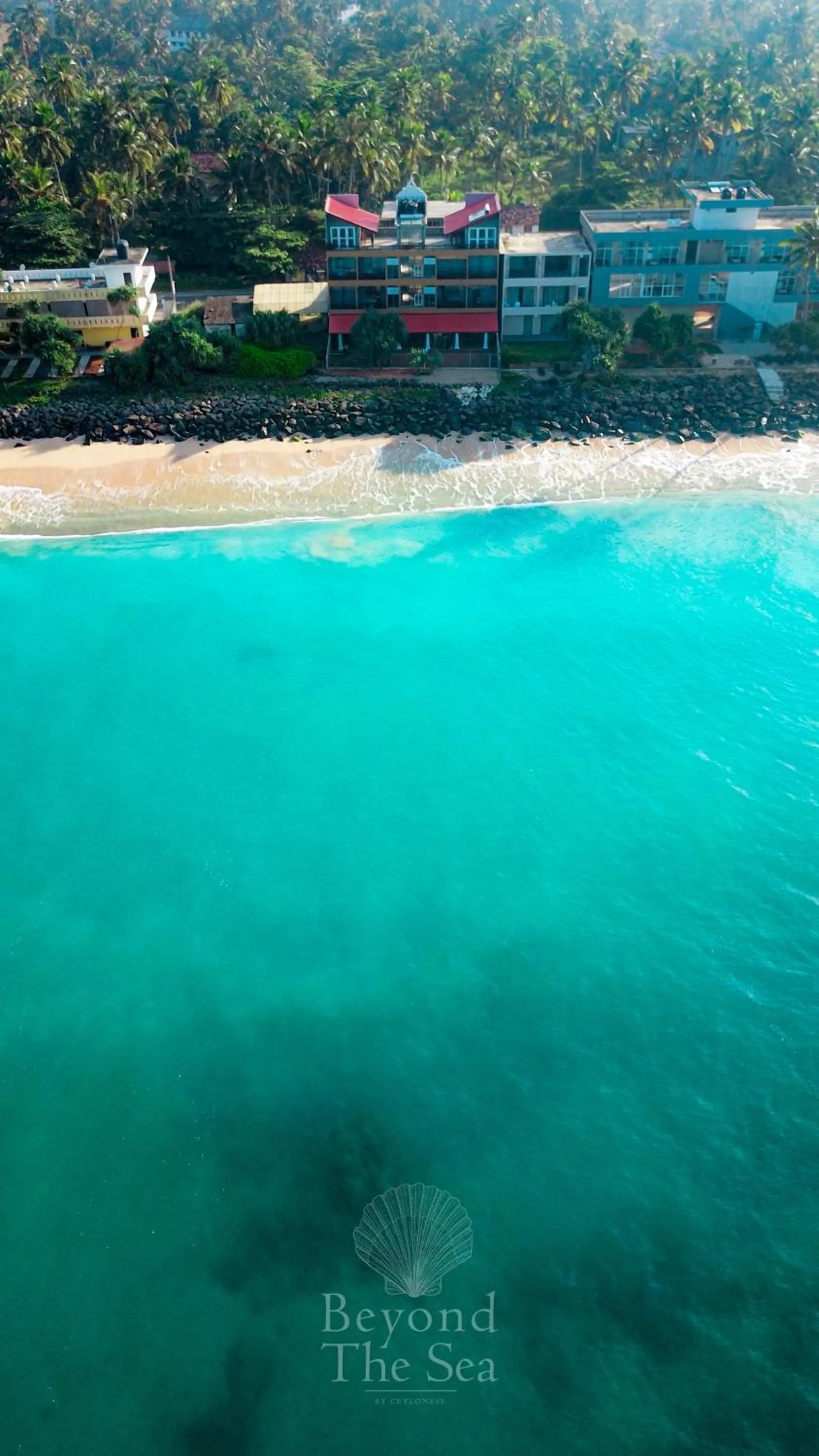 Day in Beyond The Sea By Ceylonese