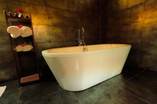 Thaulle Ayurveda Resort - Yala