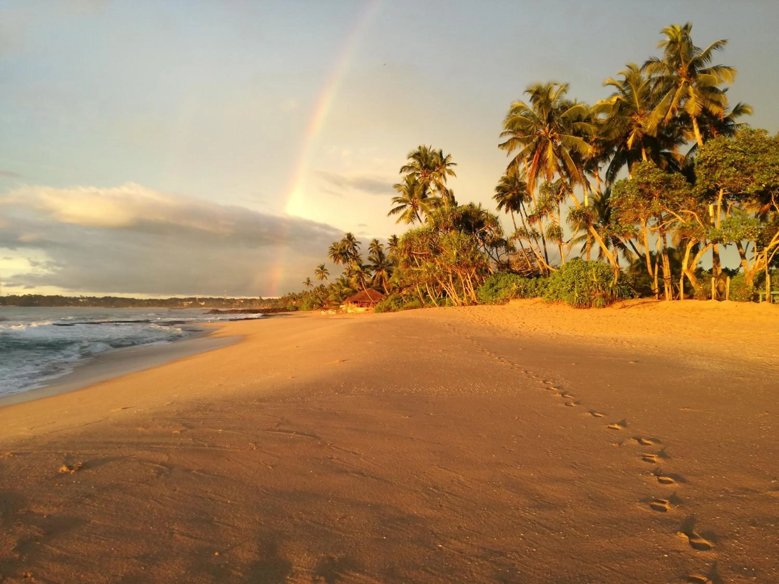Natural landscape in Serein Beach Hotel