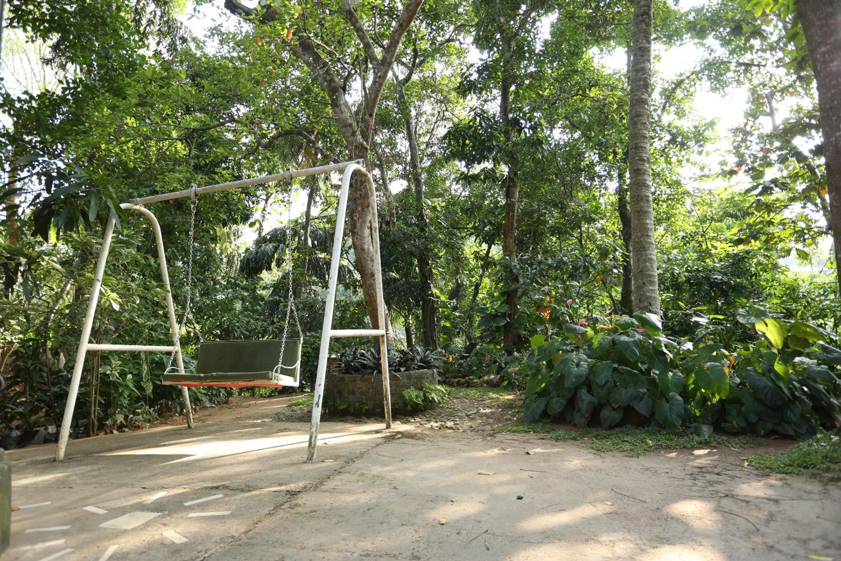 Garden in Tree Breeze Inn