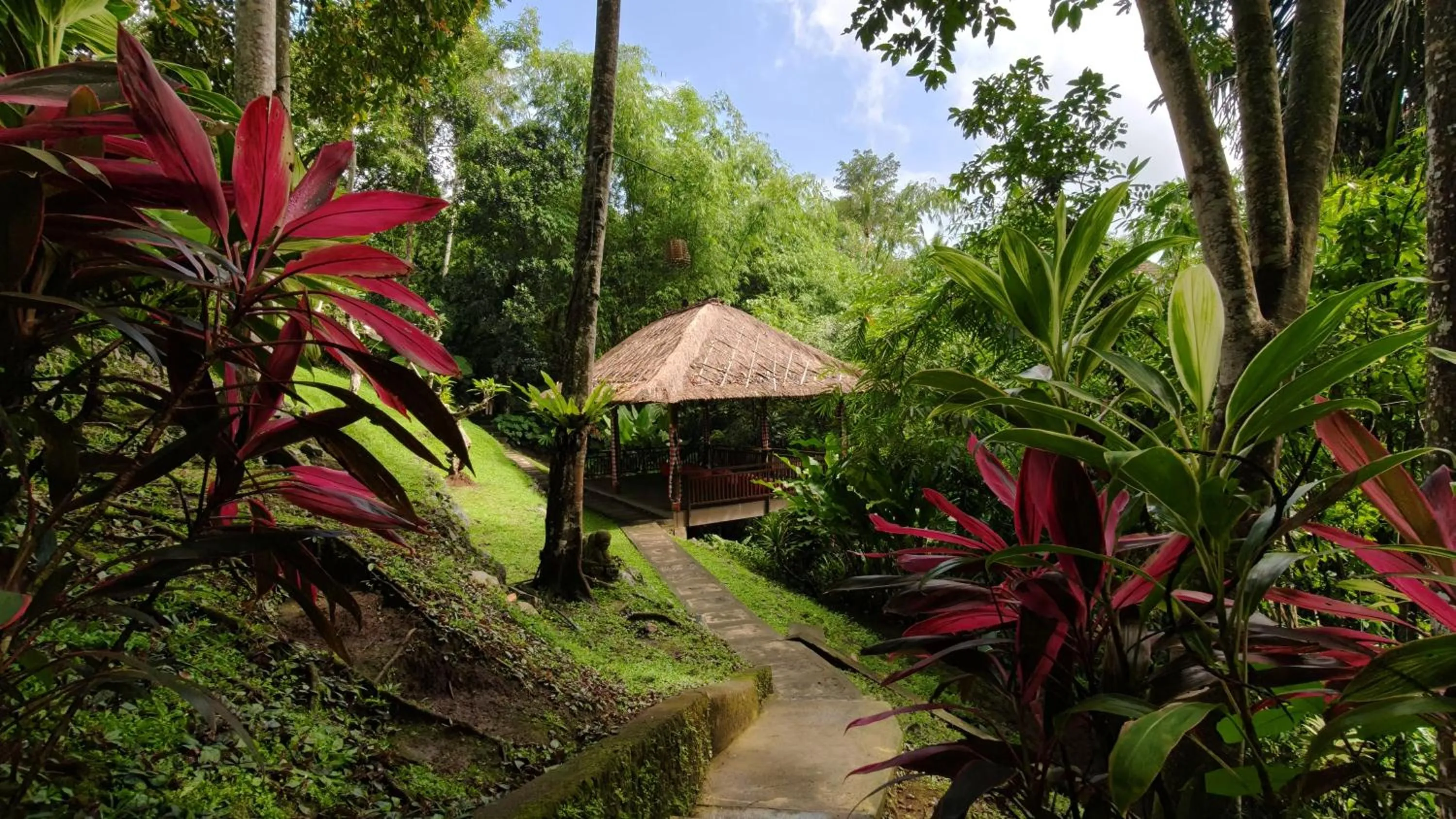 Natural landscape in Ubud Heaven Sayan