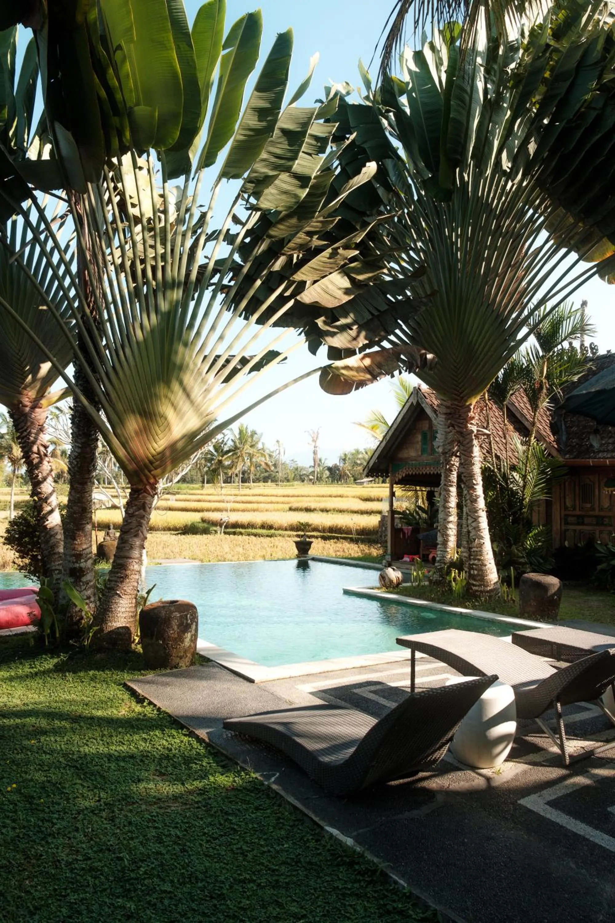 Hati Padi Cottages