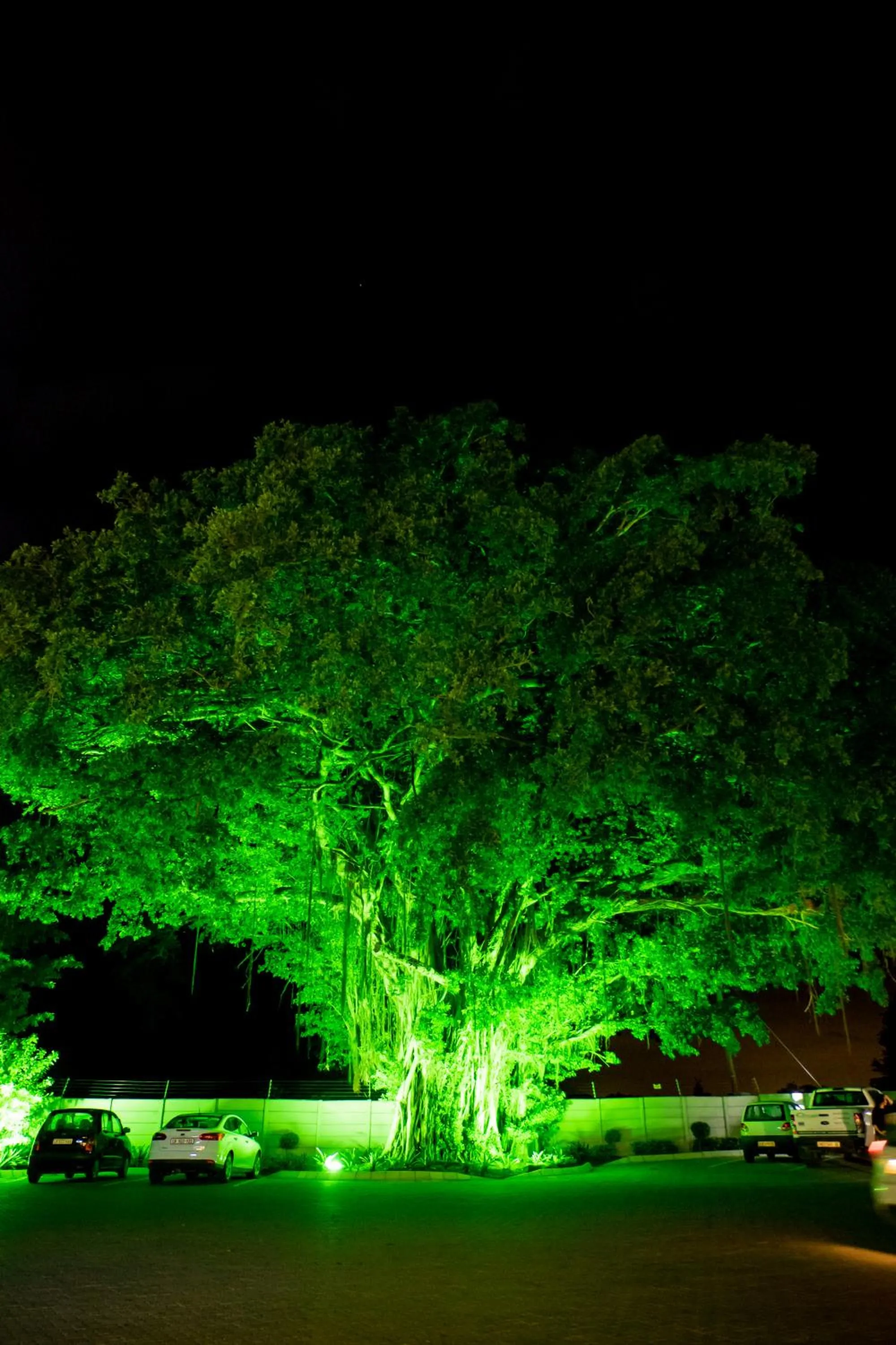 Night in Africanos Country Estate