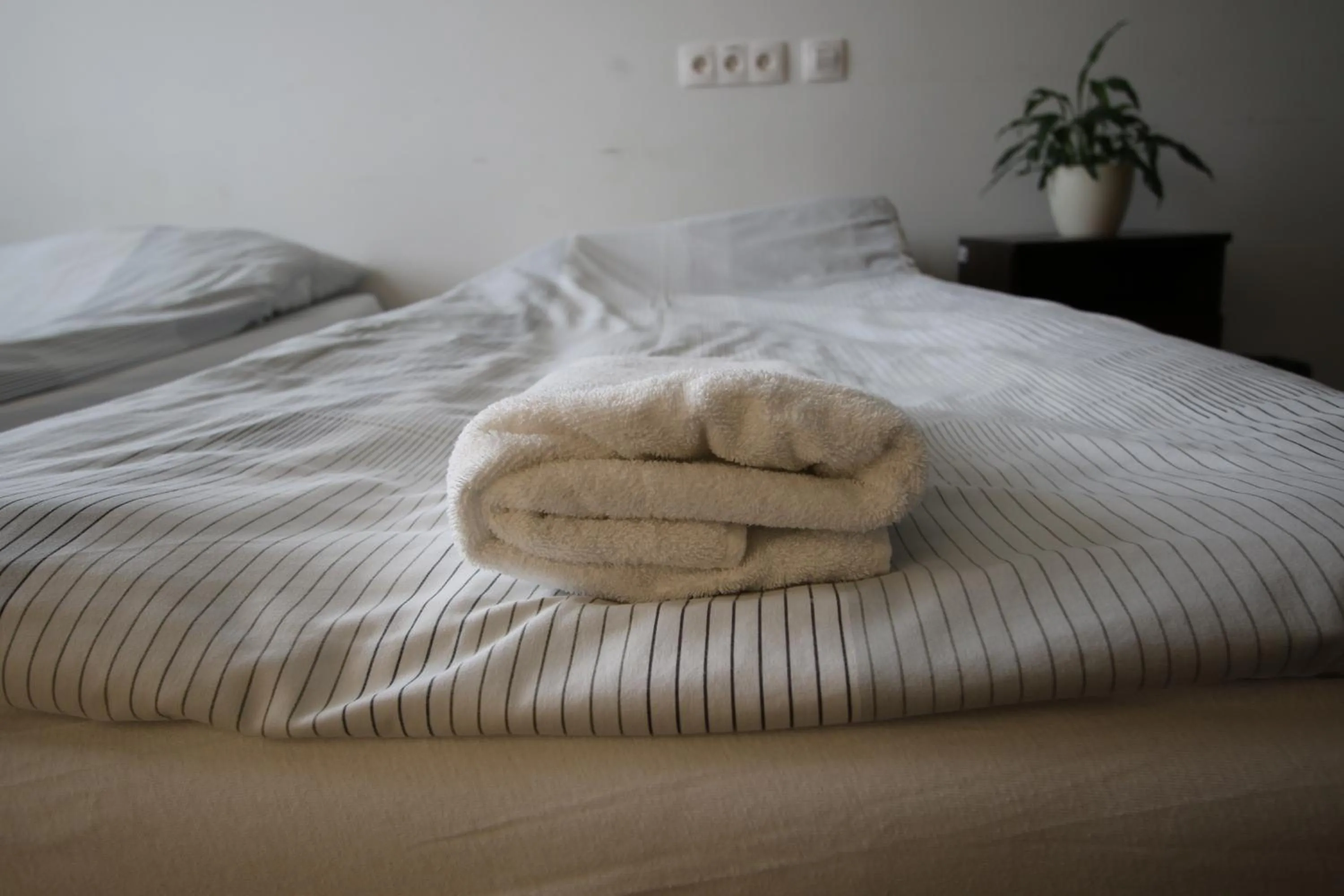 Bed in Hipodrom Sopot